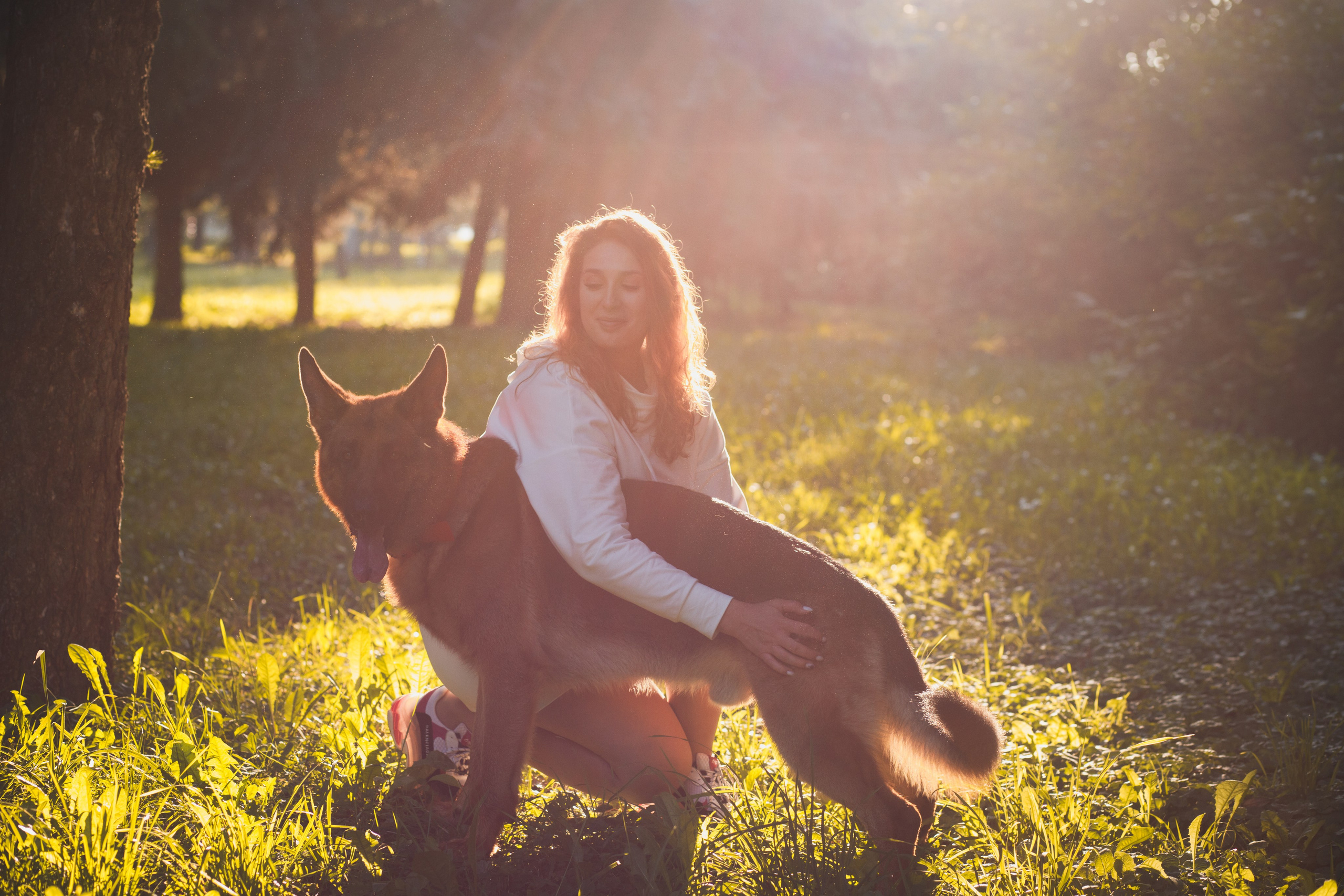 Фотопрогулка молодой девушки и ее собаки летним утром в парке. Семейный и школьный фотограф в Москве Анна Ткач