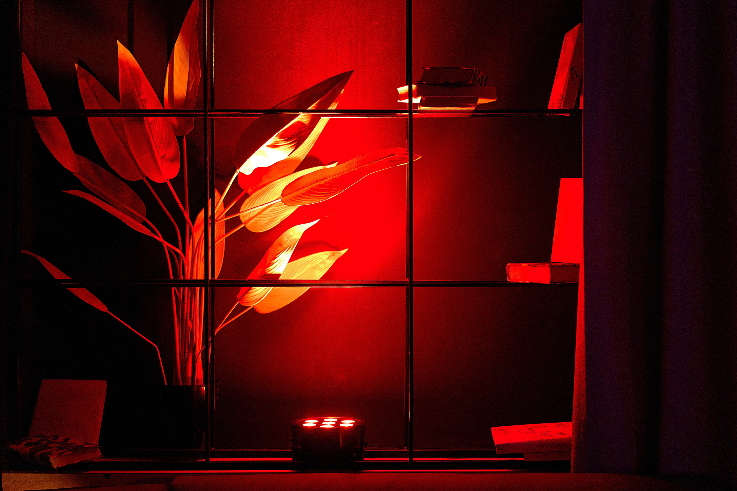 Звезда. Чумаков Алексей Фотограф|Видеограф свадебные, индивидуальные, семейные, репортаж