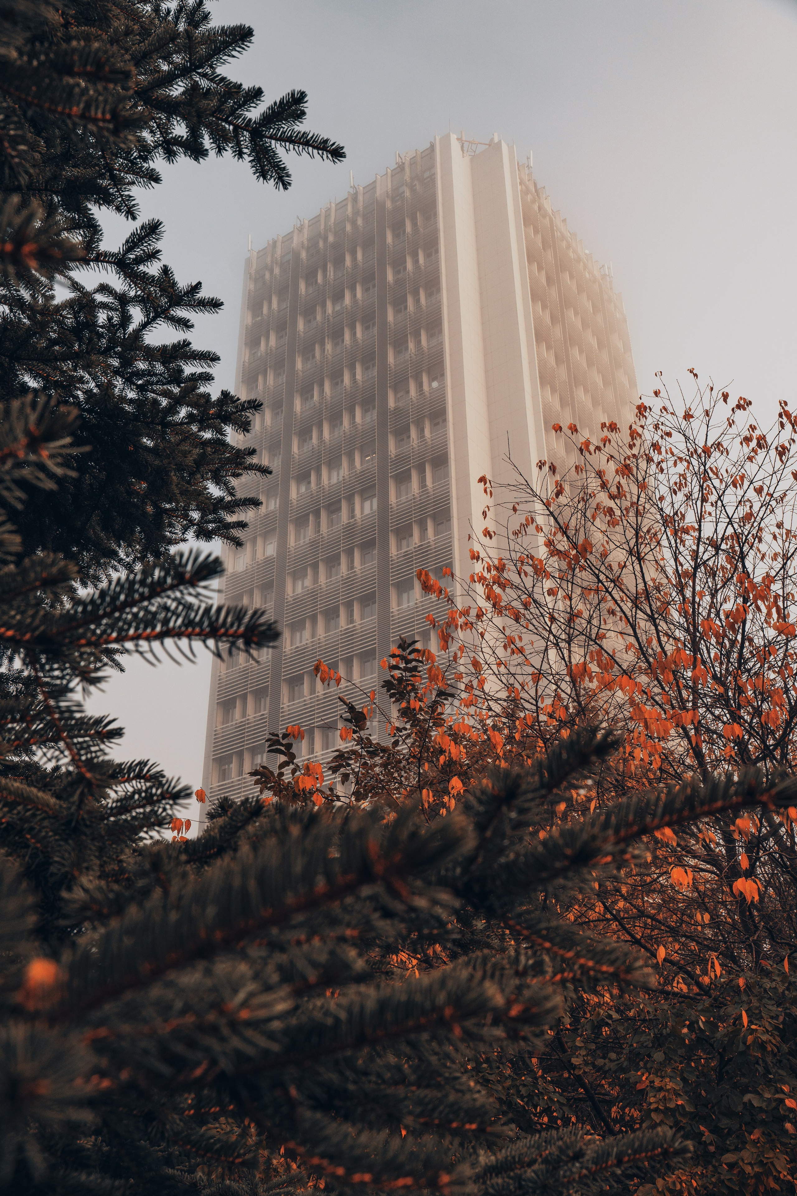 НИИМЭ Микрон Зеленоград Башня Институт молекулярной электроники gusarov2906