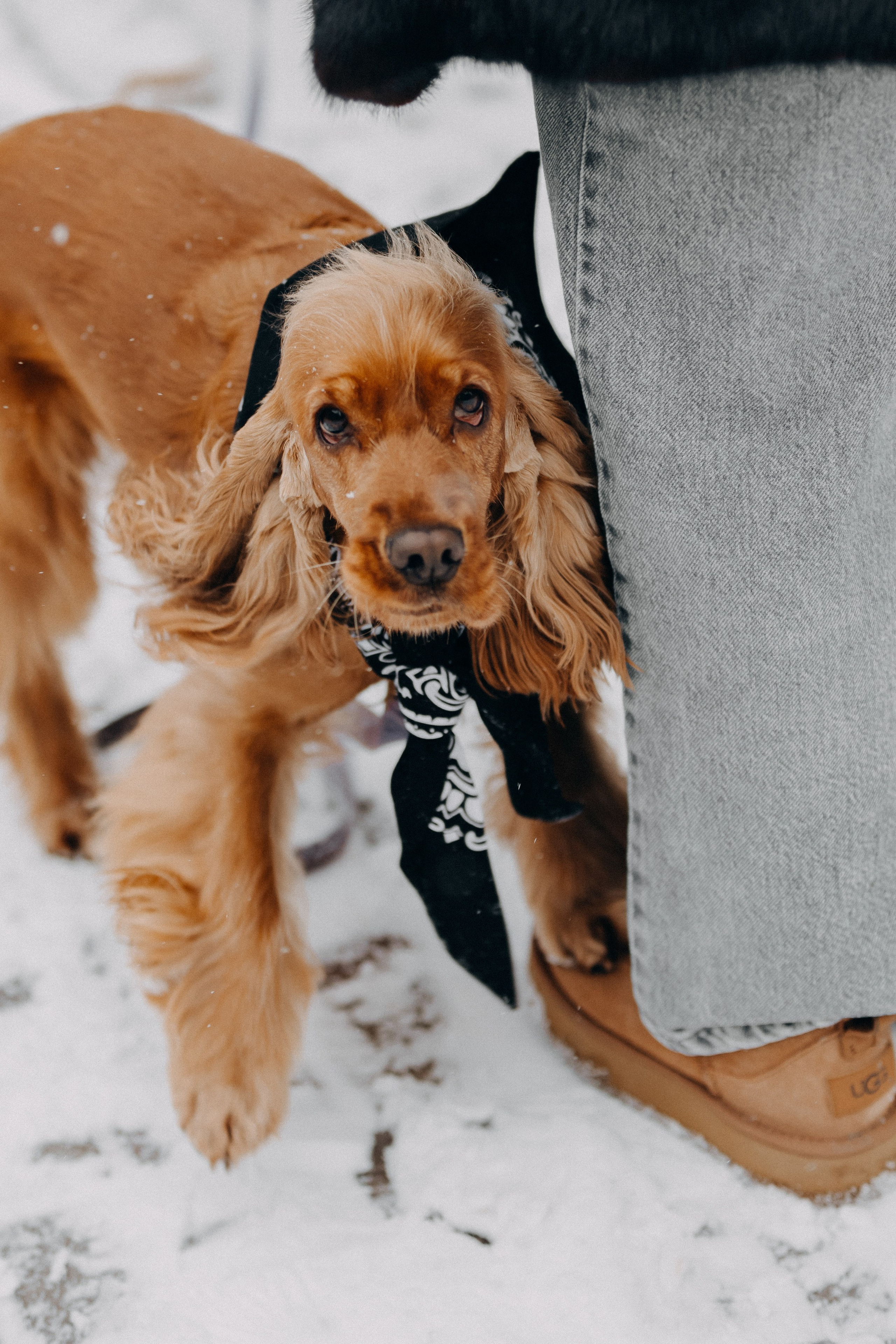 Дима и Лера. Ланемец Юлия — фотограф Волгоград/Волжский