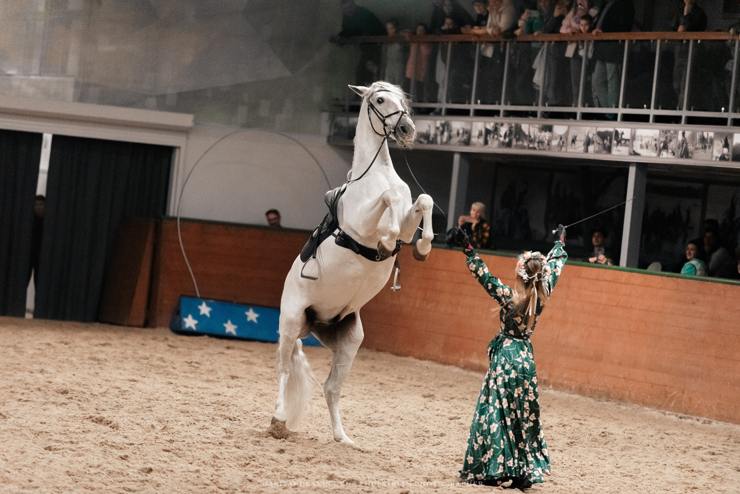 Конное представление «Дыхание Звёзд». Конный фотограф Куракина Дарья • Фотосессии с лошадьми