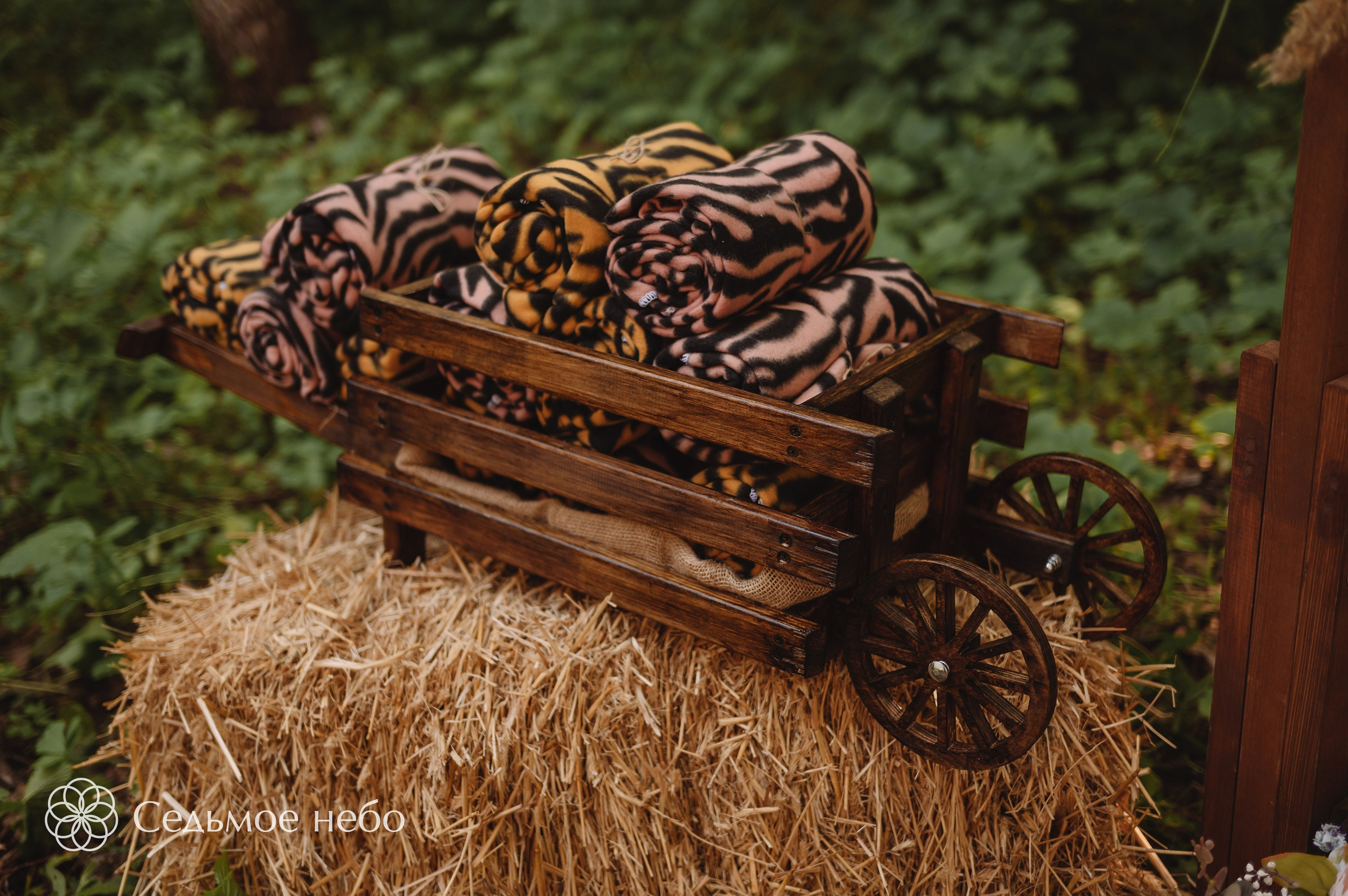 Николай & Елена. Студия декора Седьмое небо