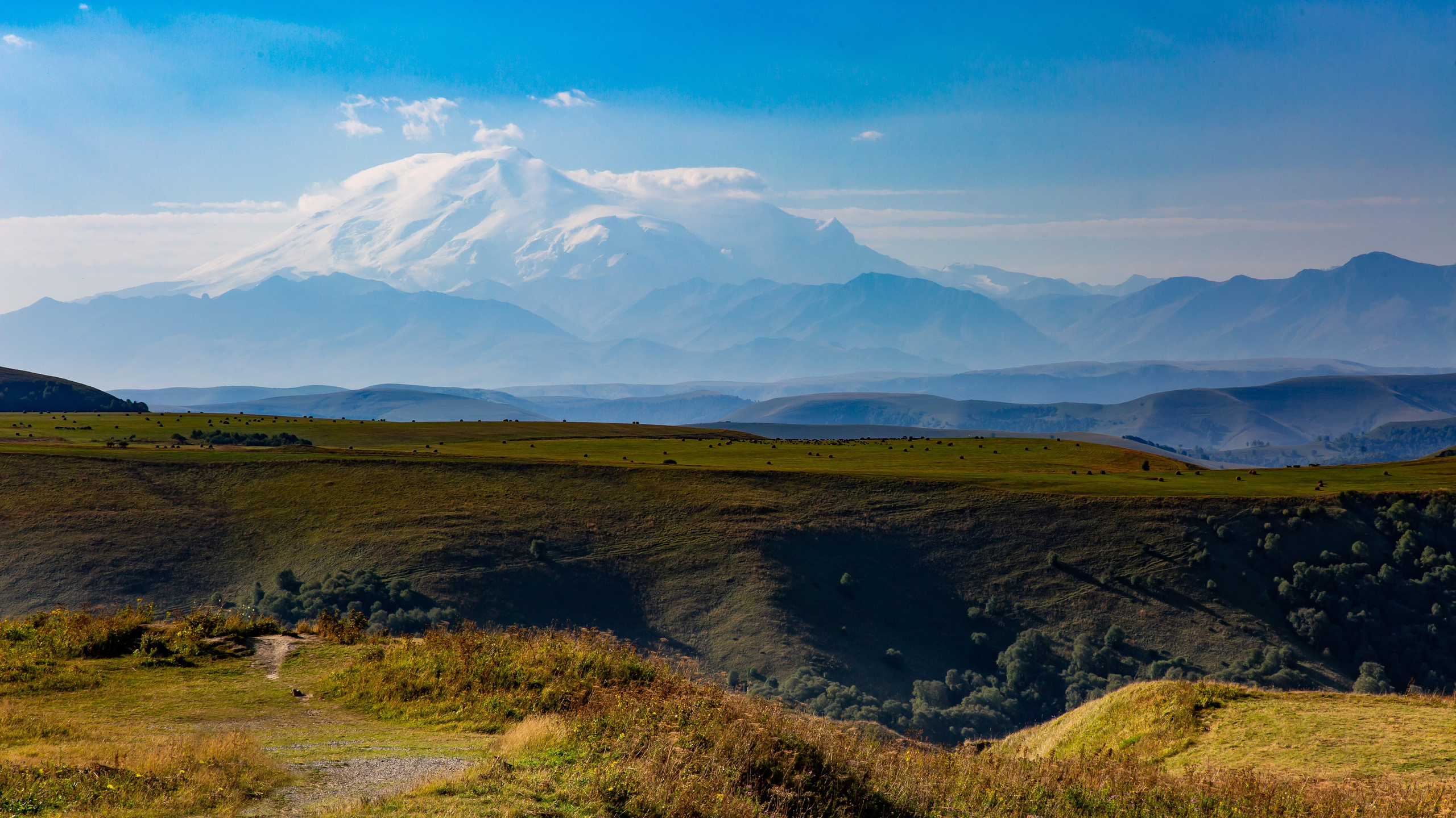 Nature/Urban. Владислав Ромашев. Семейный и детский фотограф из Москвы