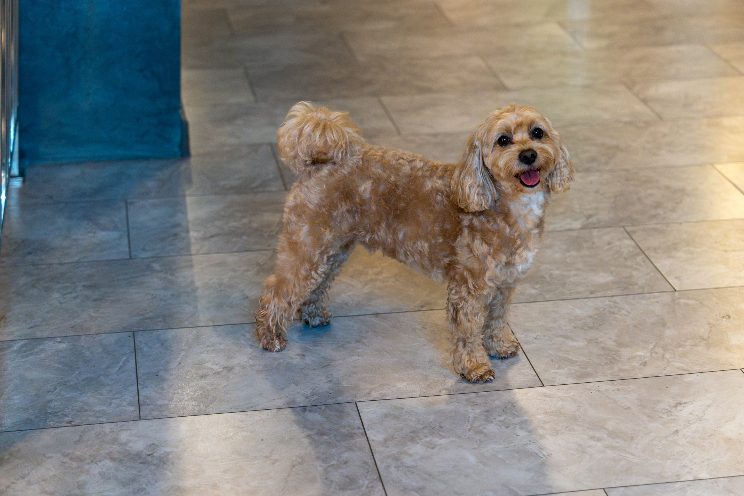 Гастрономический ужин «Лесная Италия» с Мирко Дзаго в ресторане RiverSide. Репортажный фотограф в Красной Поляне и Сочи Павлюченко Екатерина