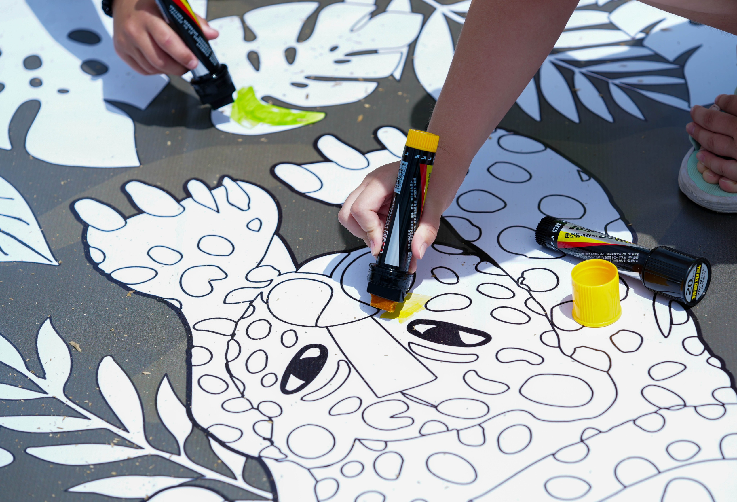 День леопарда на курорте Газпром Поляна. Репортажный фотограф в Красной Поляне и Сочи Павлюченко Екатерина