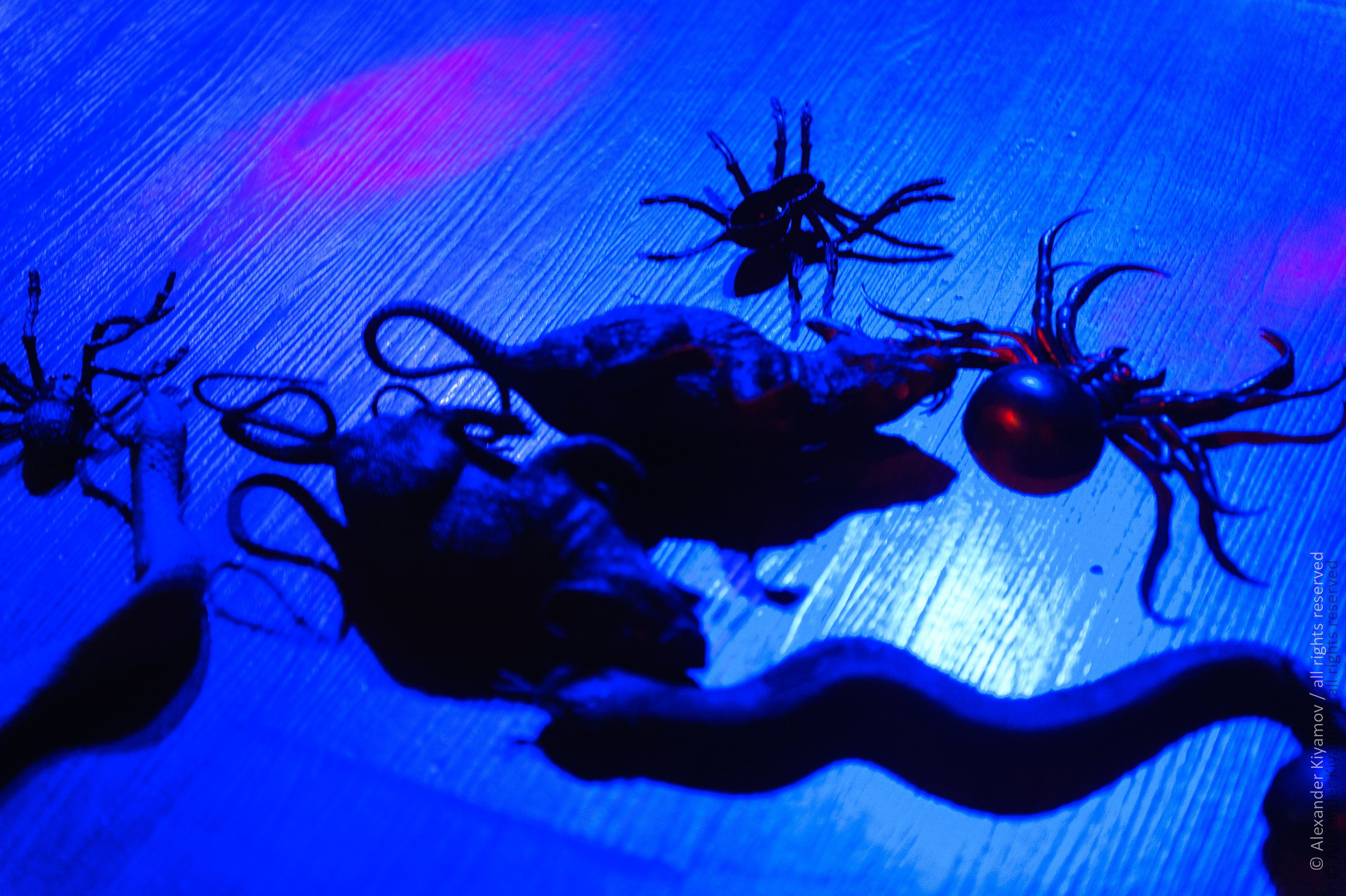 Детский фотограф