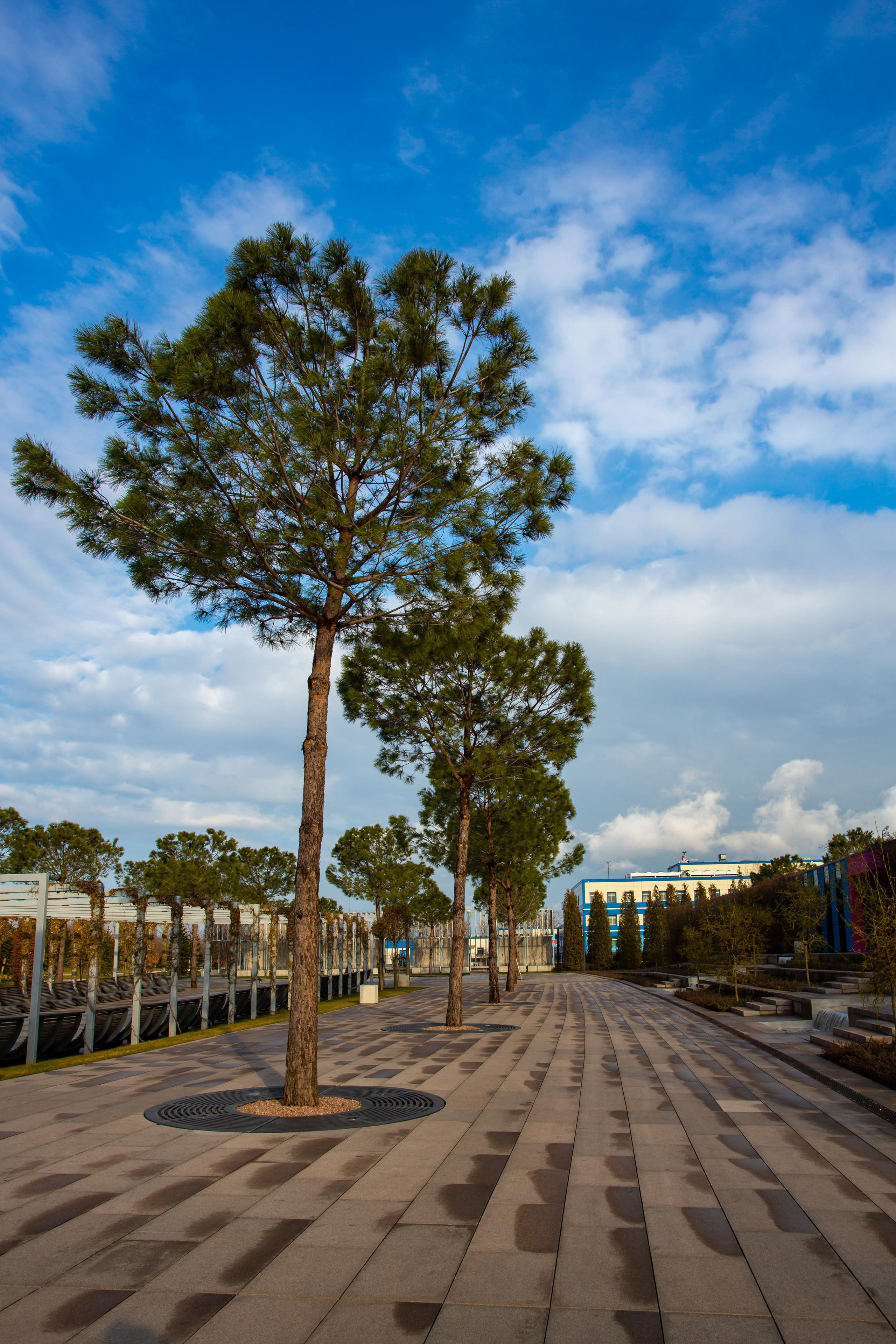 Краснодар. Photographer Sonkina Tatiana (Tanya Ash)