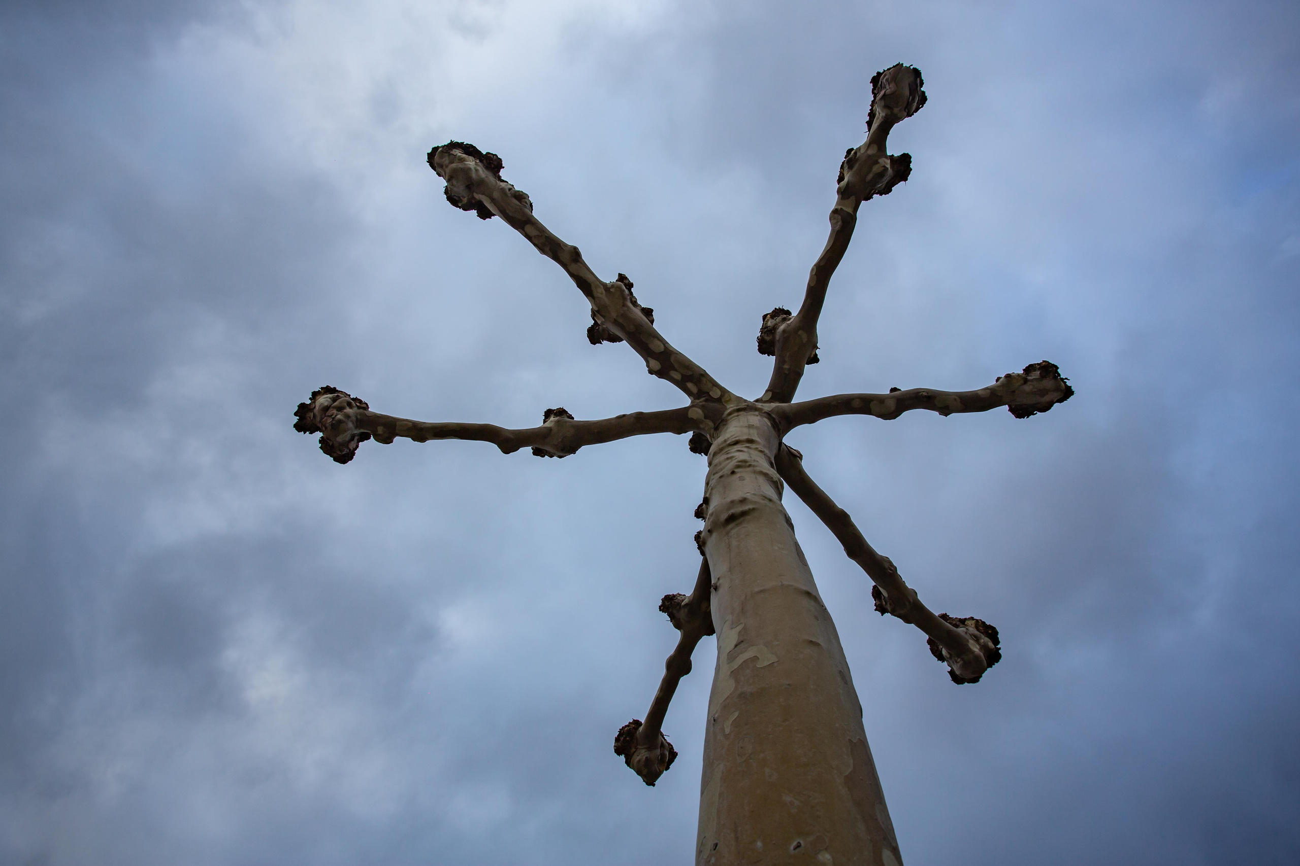 Краснодар. Photographer Sonkina Tatiana (Tanya Ash)