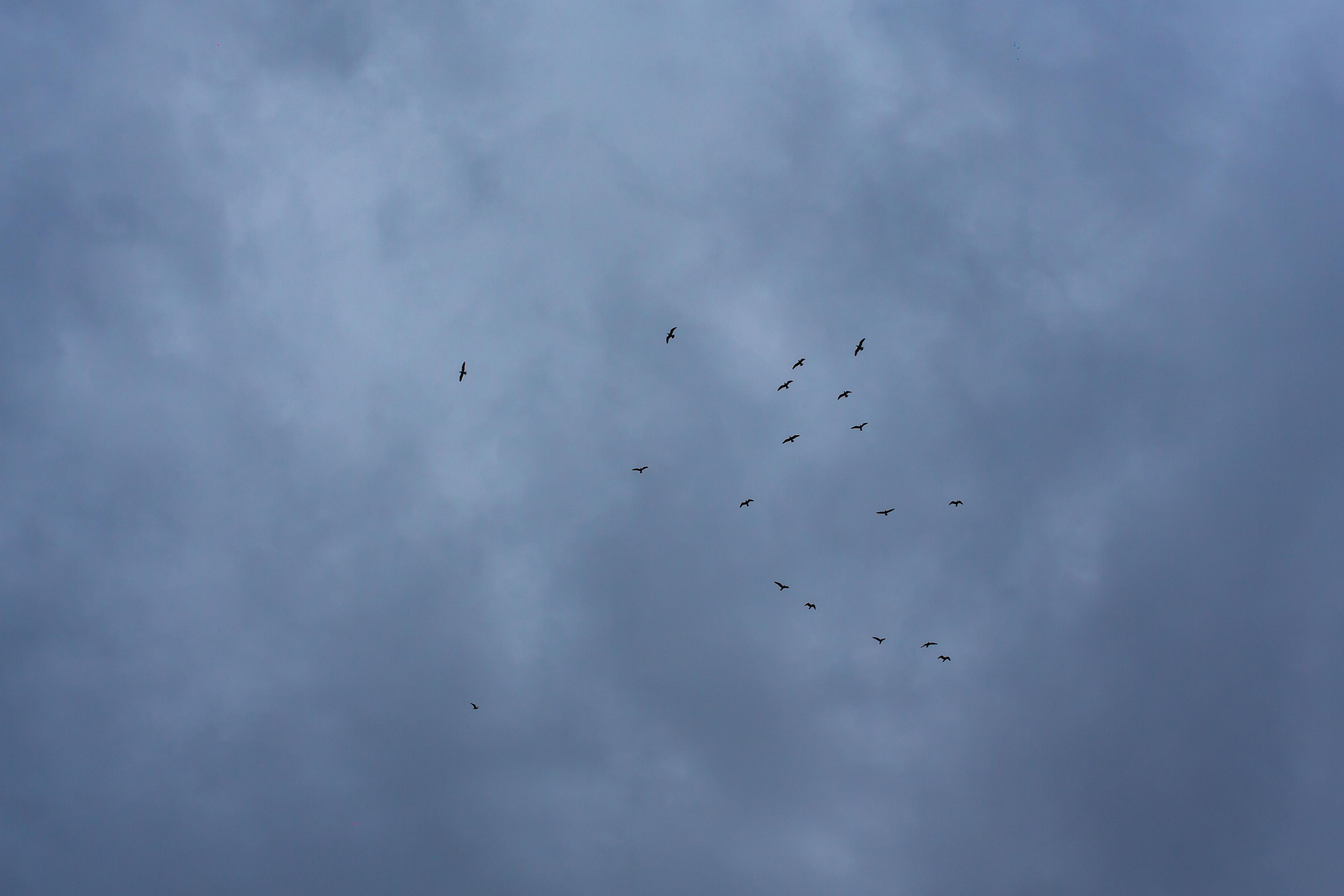 Краснодар. Photographer Sonkina Tatiana (Tanya Ash)