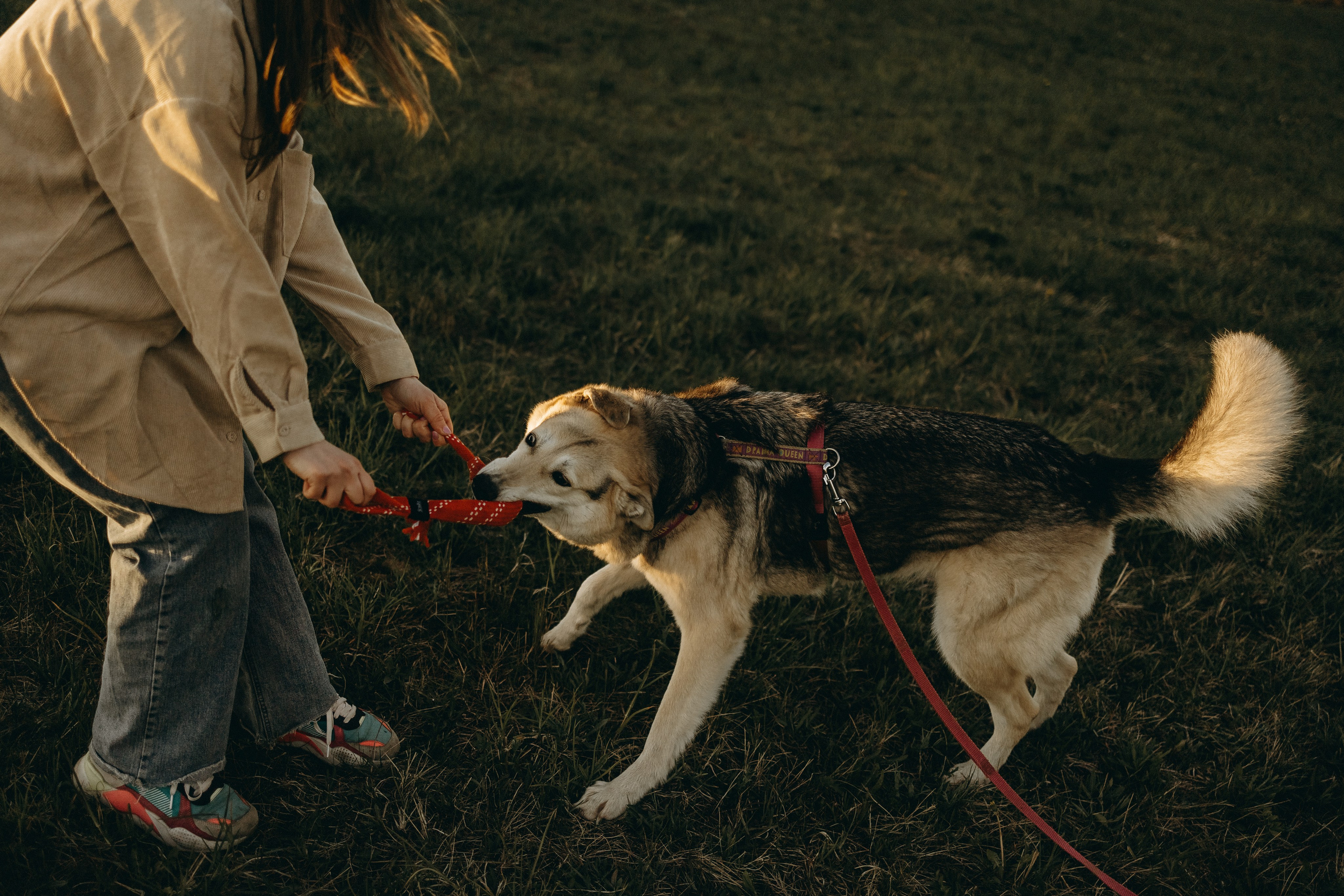 Саша и Зельда. Фотограф — Анималист | Санкт-Петербург