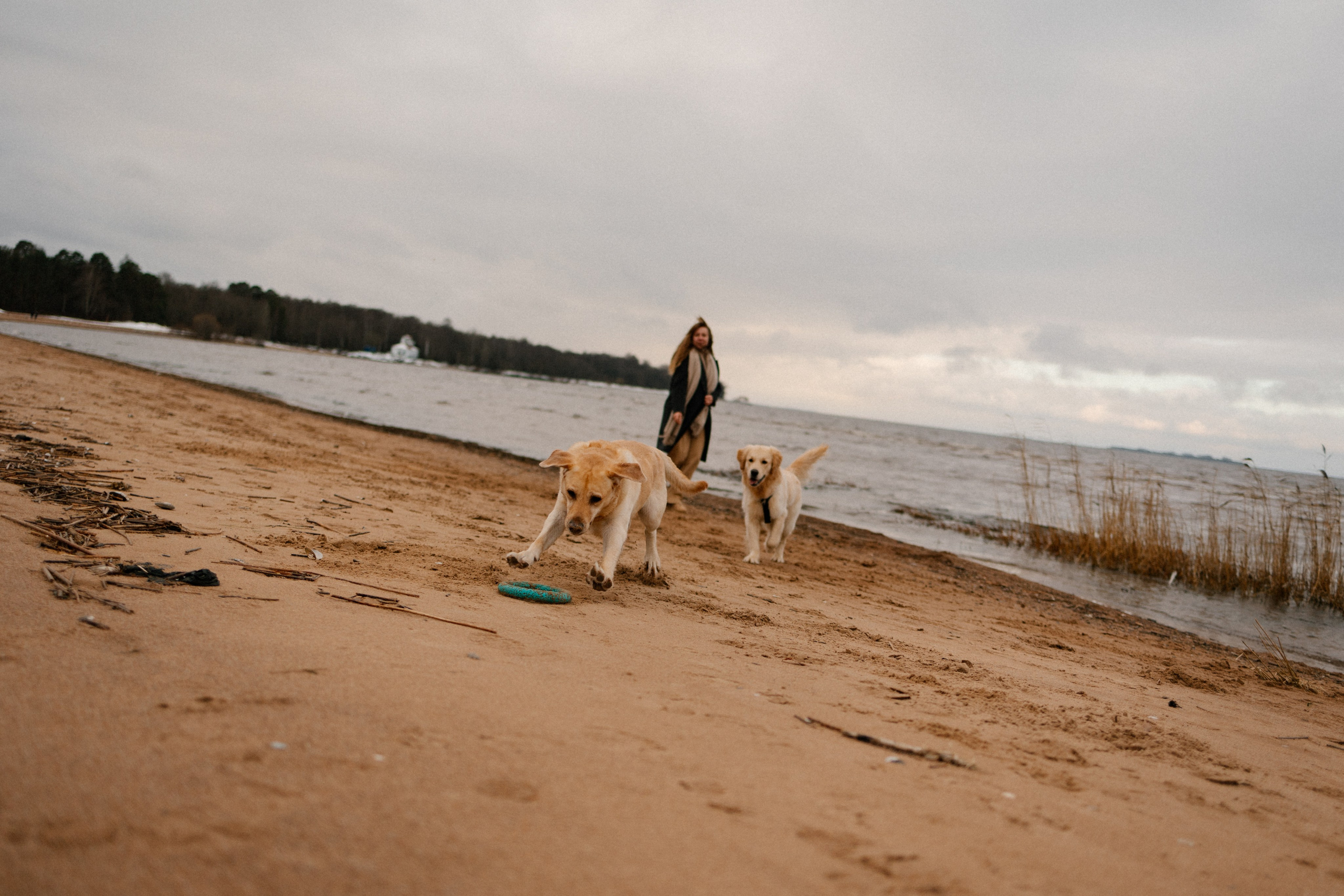 Ирина и Бася. Фотограф — Анималист | Санкт-Петербург