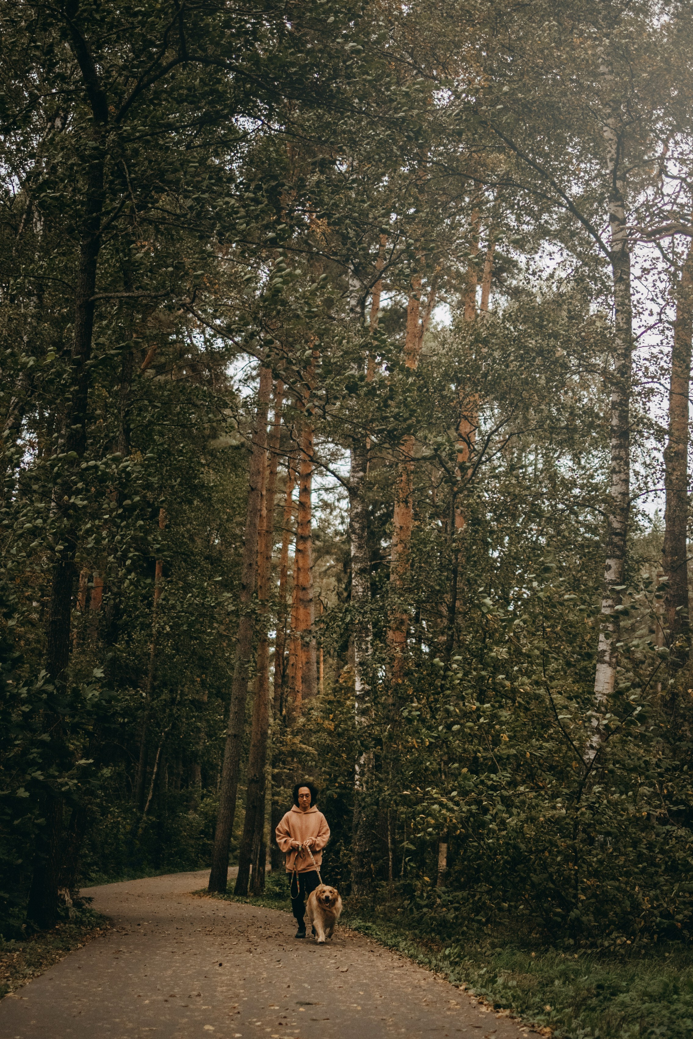 Фоси и его семьи. Фотограф — Анималист | Санкт-Петербург