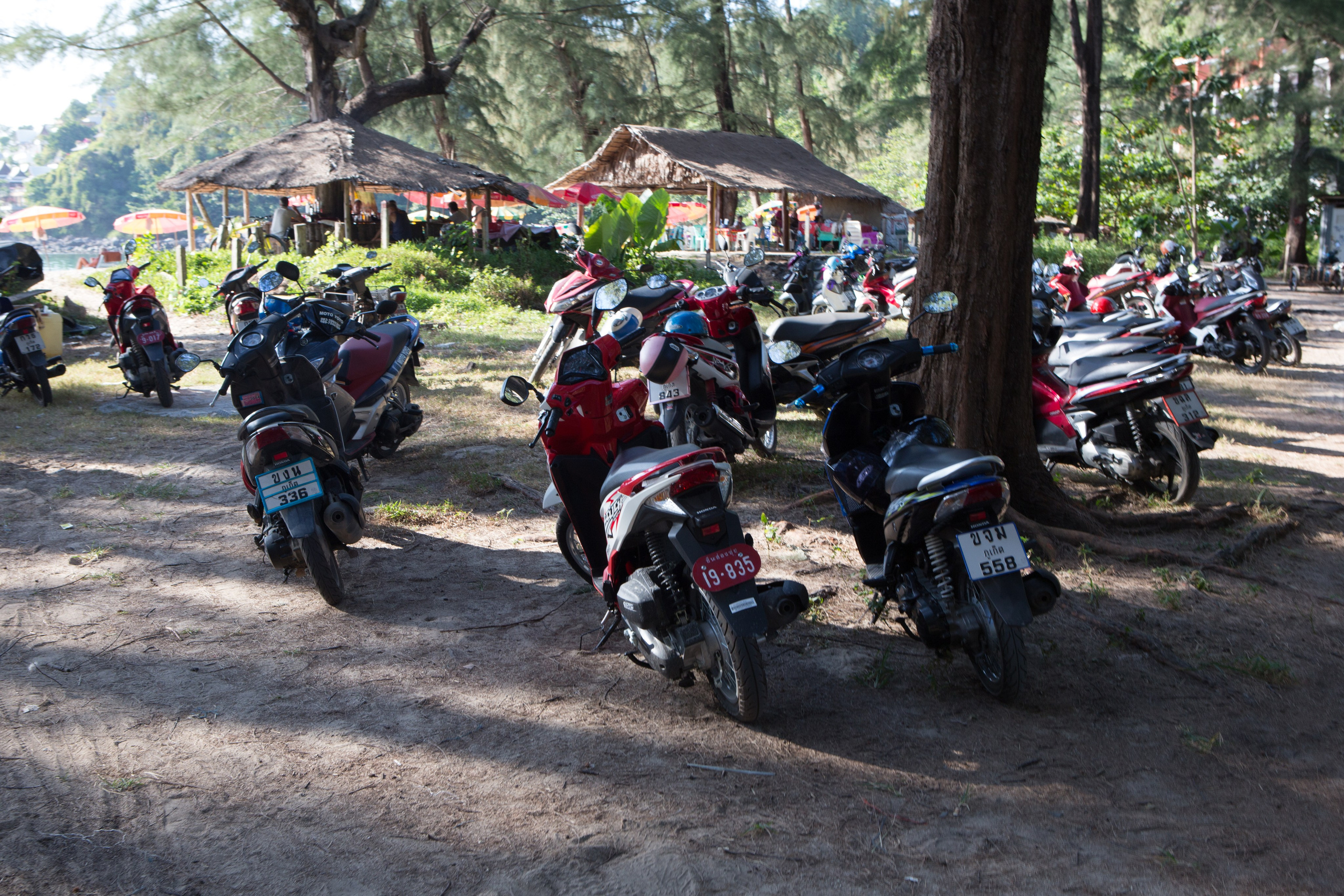 Фото Тайланда. Студия Максима Белослюдцева