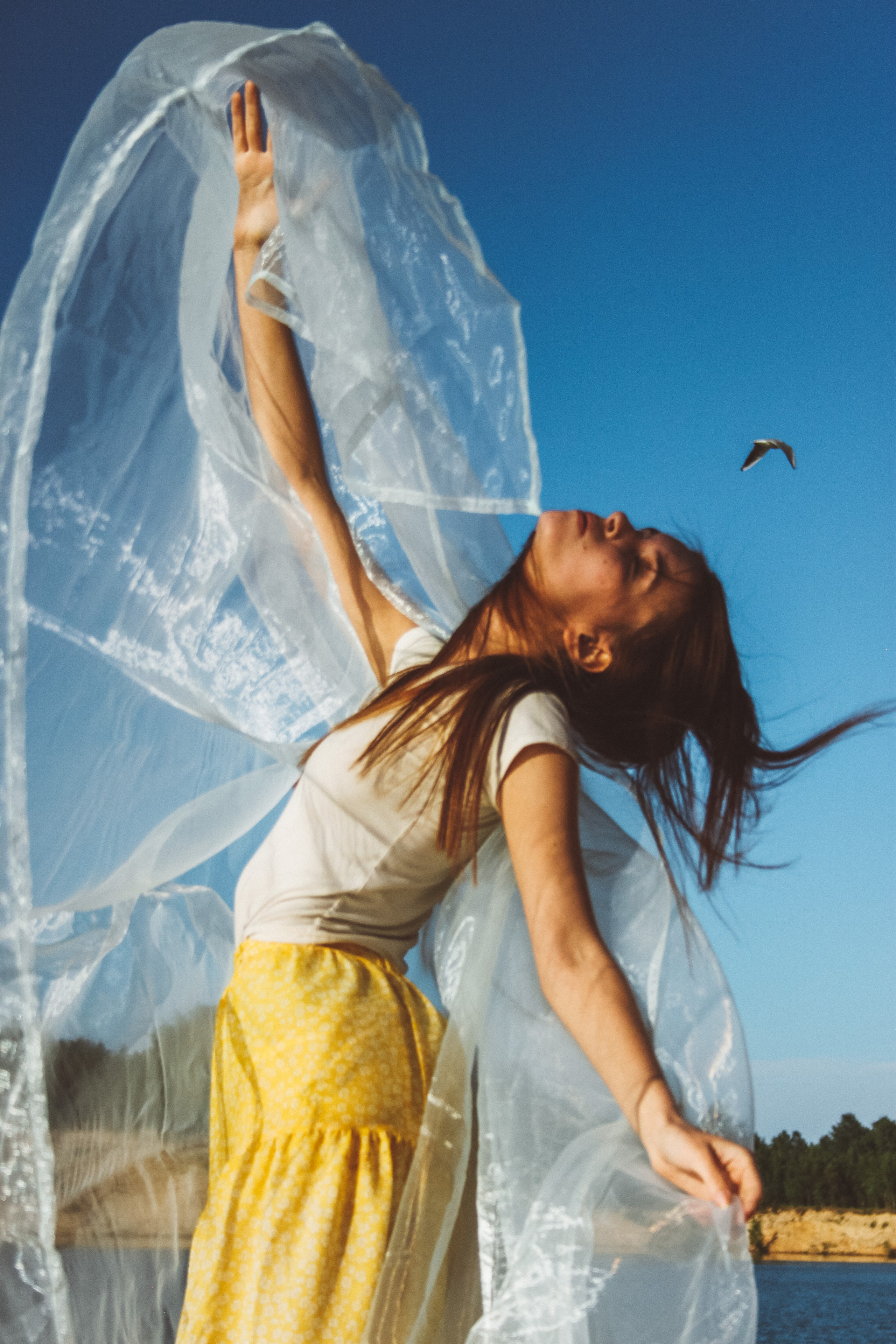 Алиса. Oksan_photo