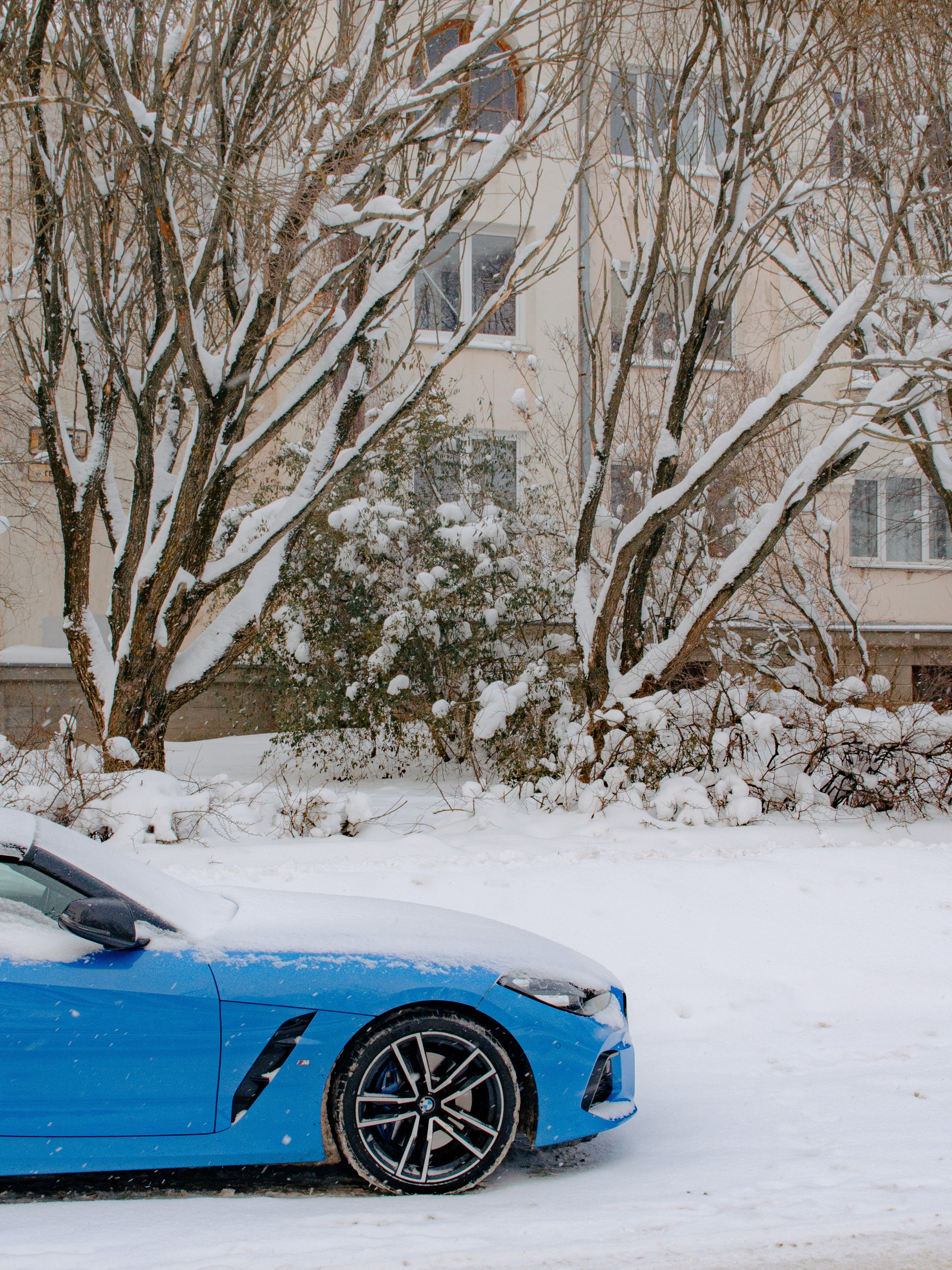 Стрит-фотография, пейзаж. Фотограф в Пскове и Санкт-Петербурге Татьяна Рейнелл