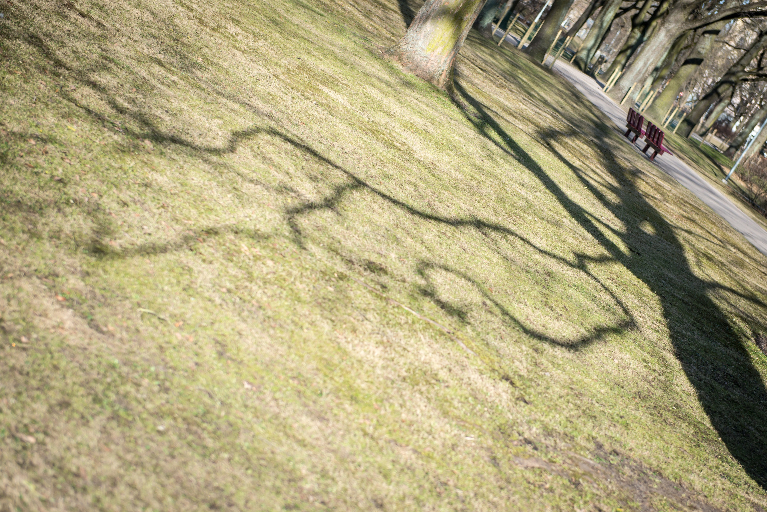 Dimitri Bakhtadze, colour photos. Dimitri Bakhtadze photographer