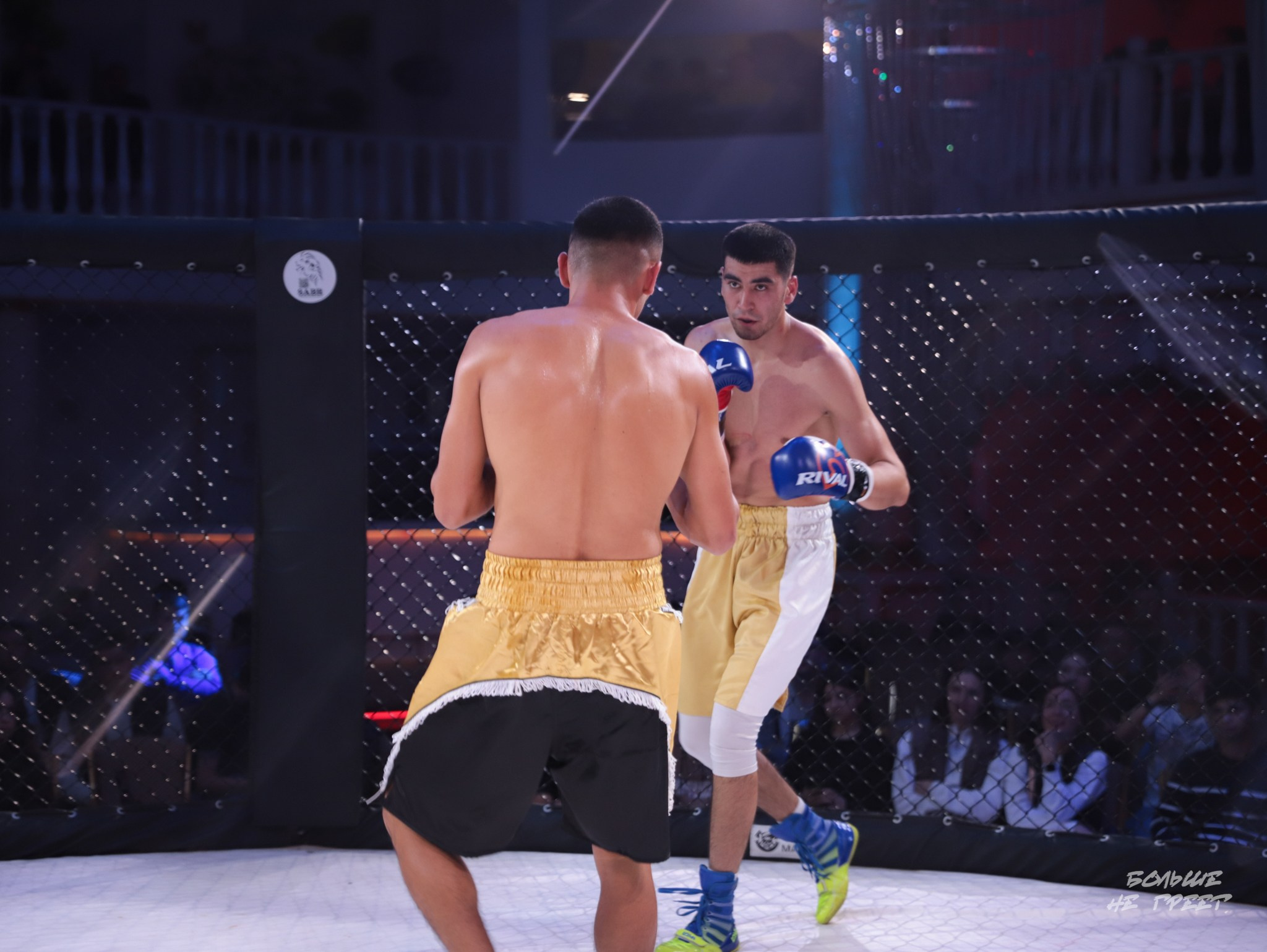 SABR FIGHTING. Больше не греет