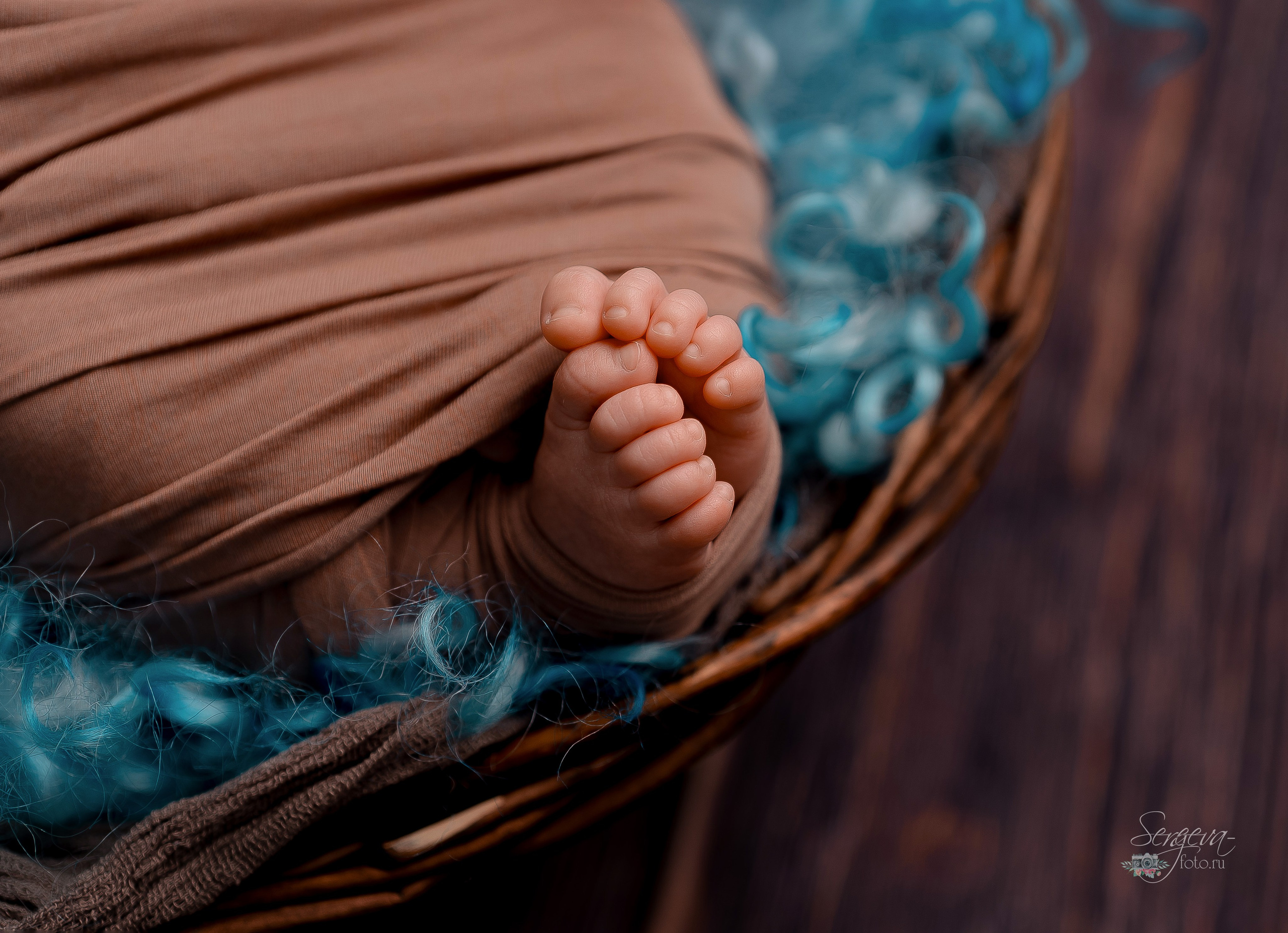 Матвей 23 дня. Фотограф новорожденных в Нижнем Новгороде Сергеева Оксана