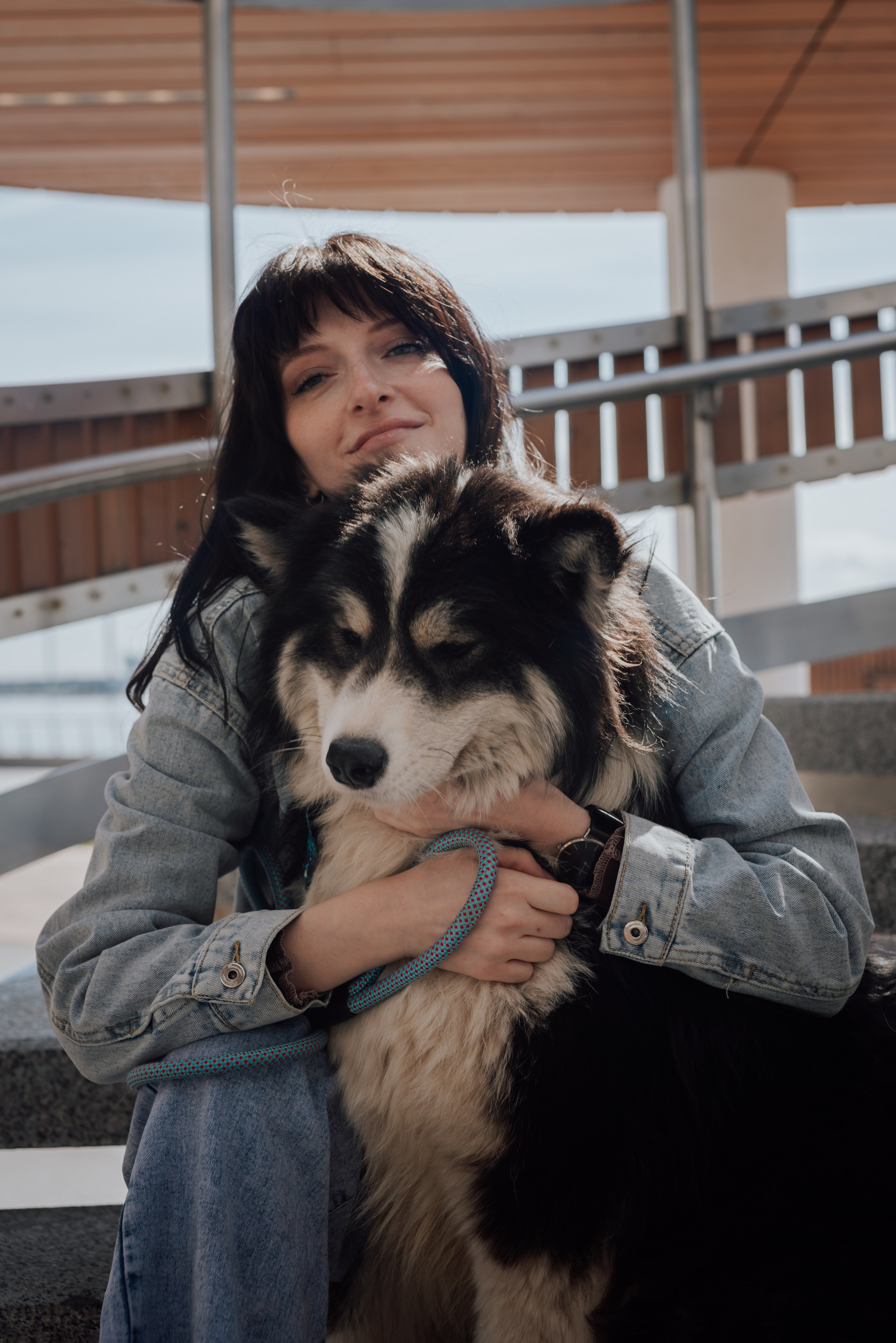 Фотодень с хаски. Фотограф в Санкт-Петербурге и Ленинградской области