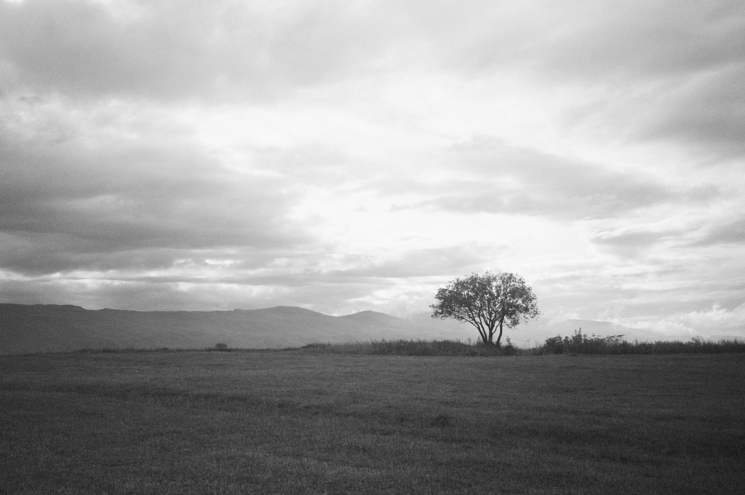 Оператор-постановщик рекламы и музыкальных клипов