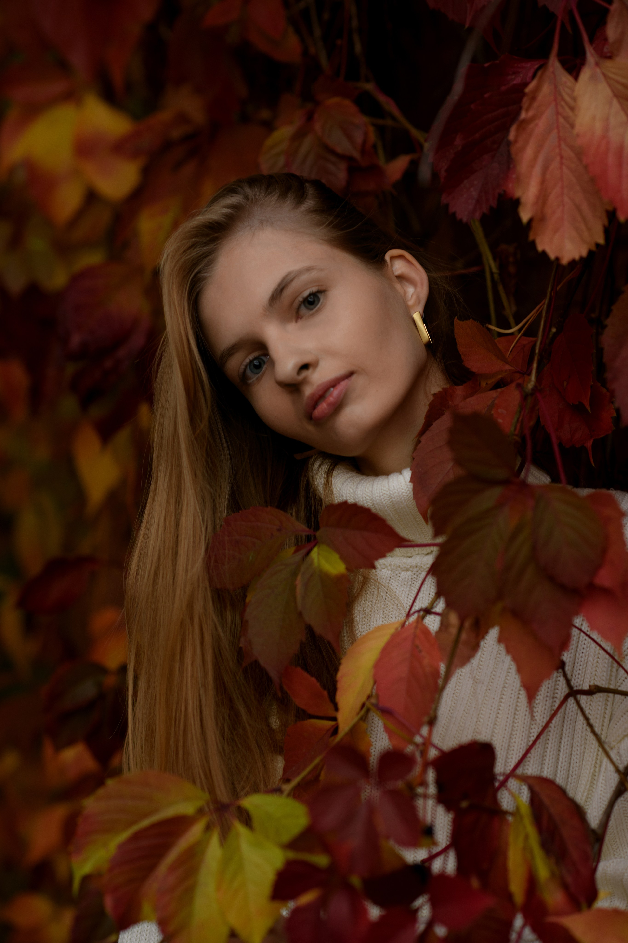 Майя. Главная