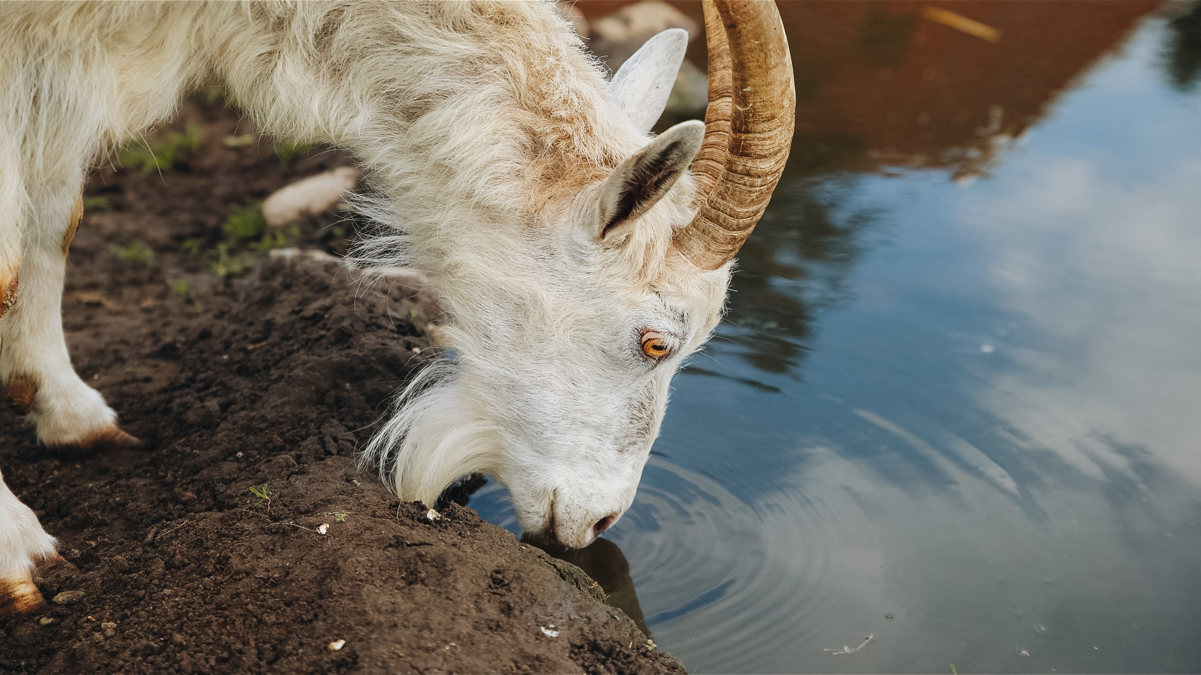 Тур — девичник LEF.TRAVEL.CLUB. KRIS KRUPINNIKOVA