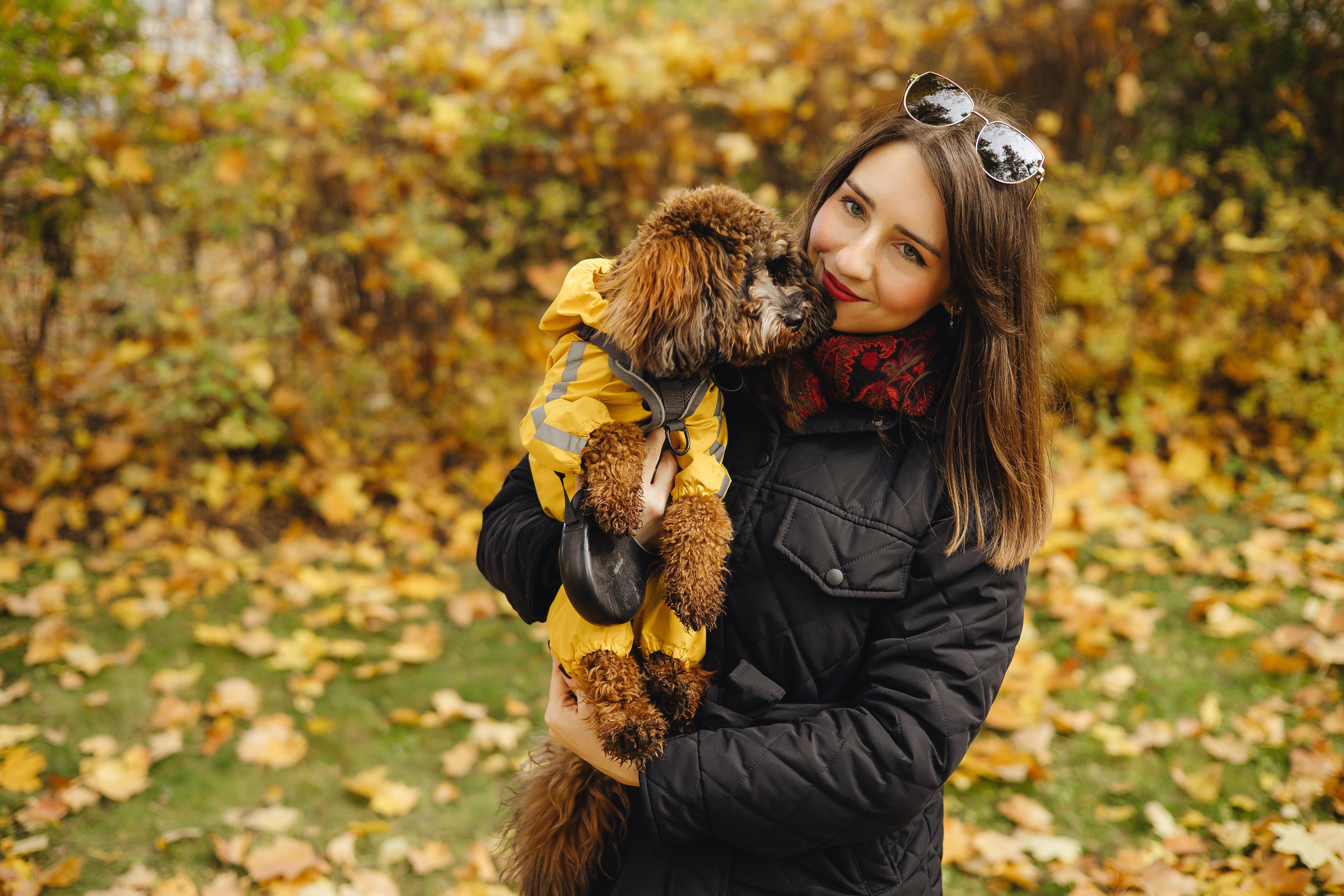 Летающая Мерси