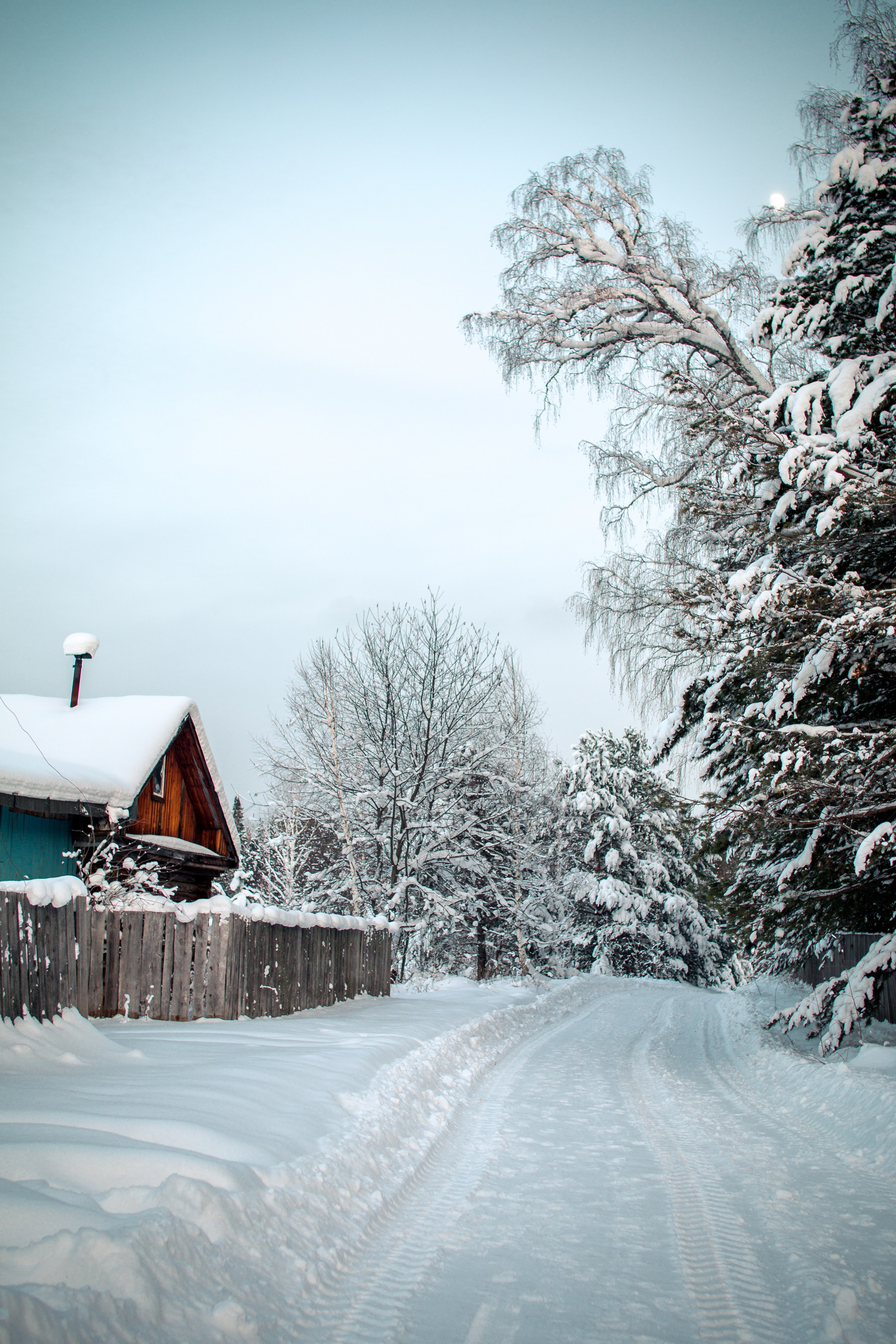 Дети — цветы жизни!. Ваш фотограф Северск | Томск