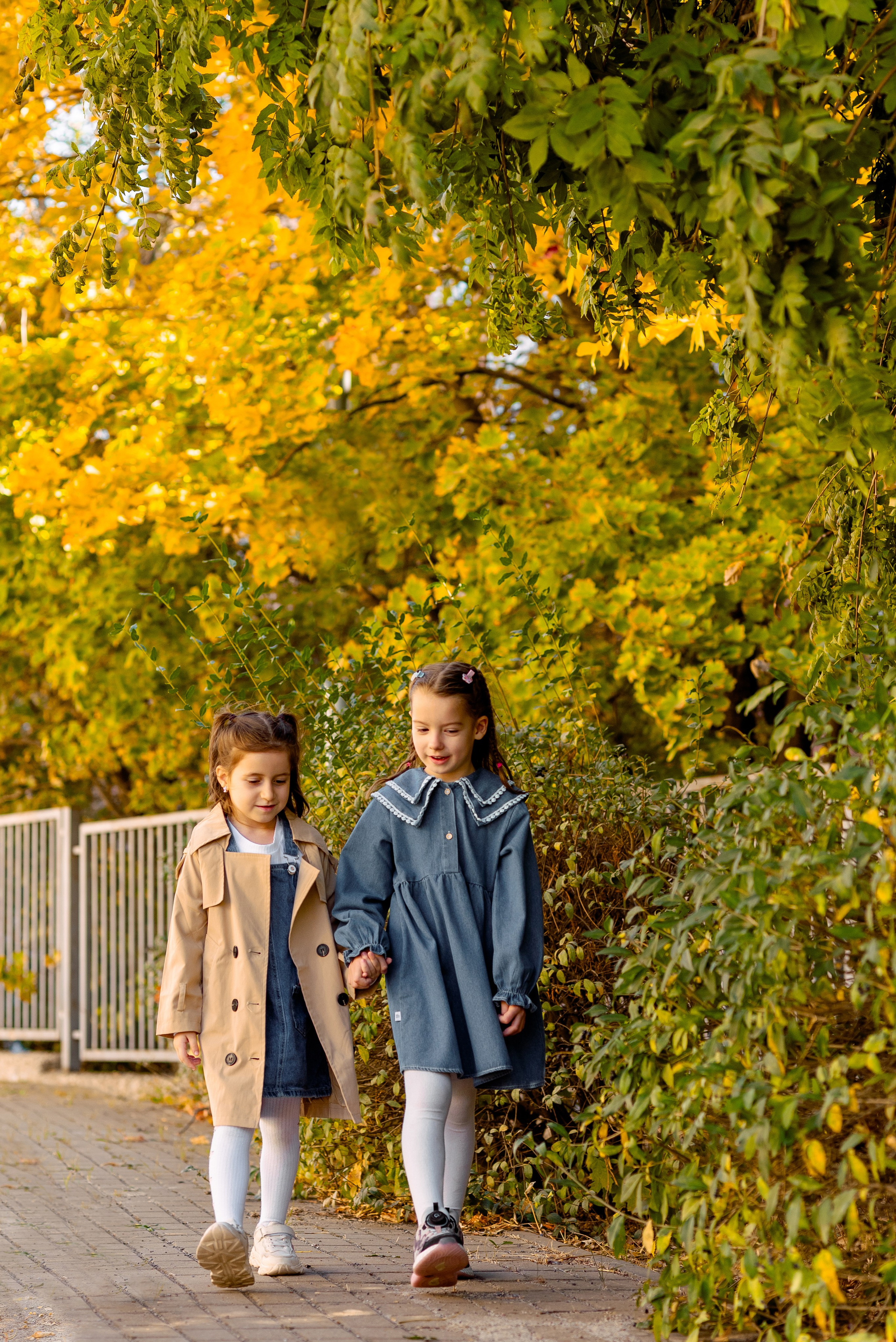 Детский сад. Выпускные альбома Москва и Московская область