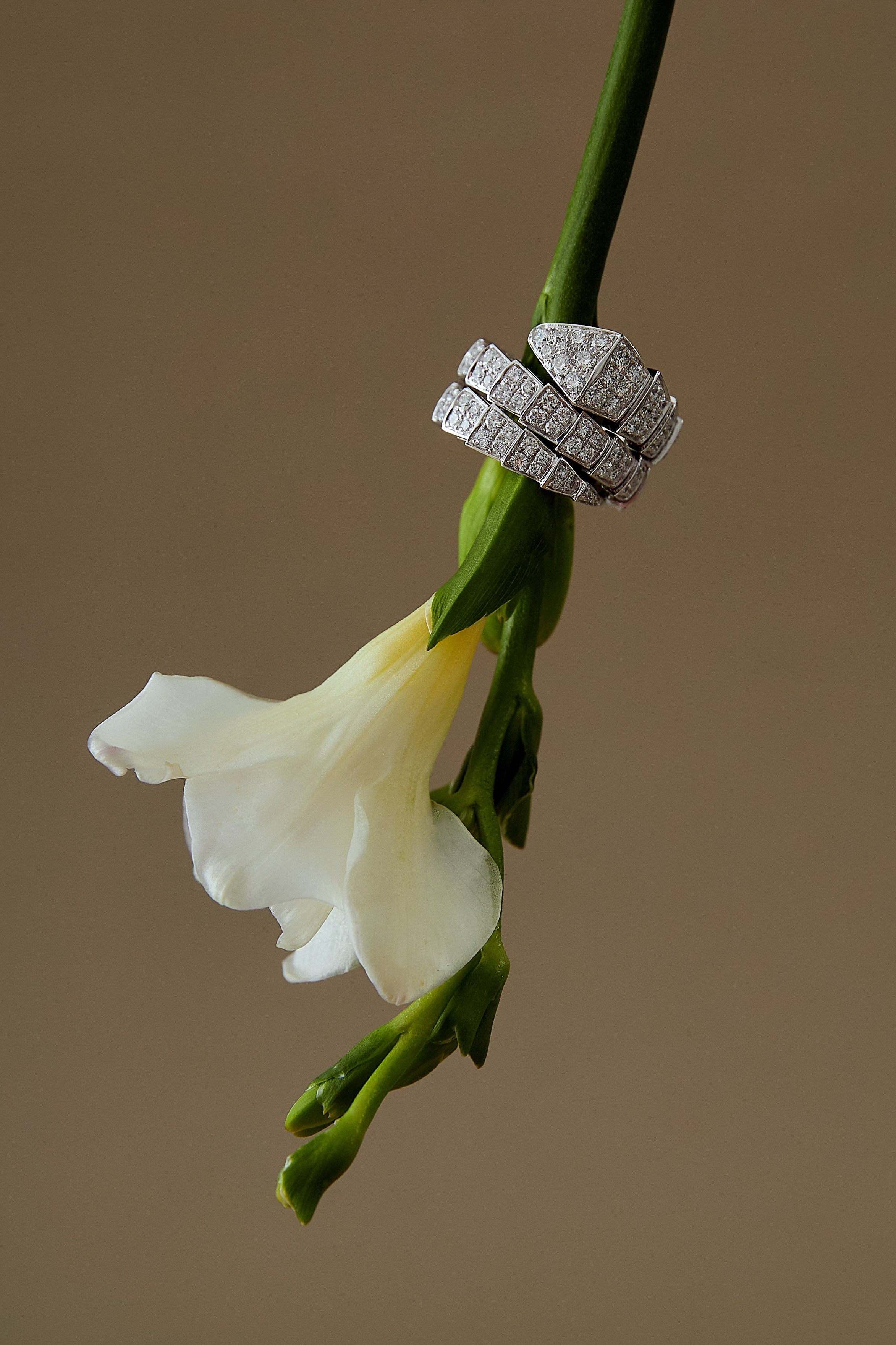 Ювелирные украшения (предметная). Фотограф