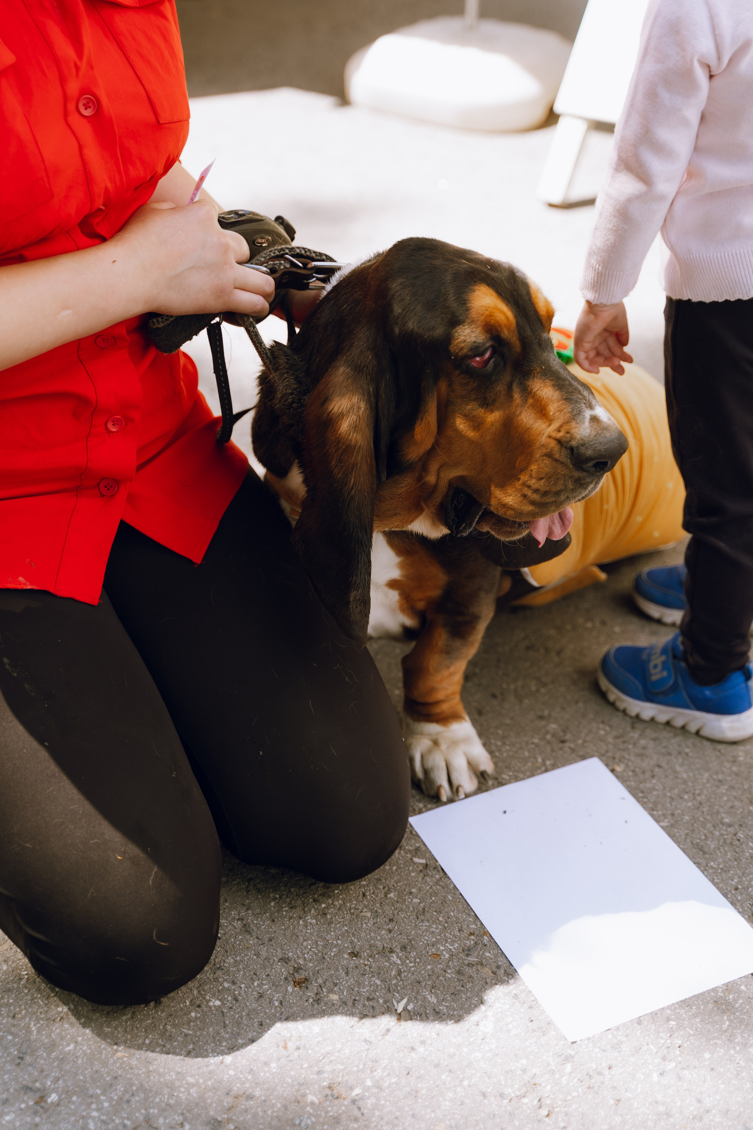 Площадка фестиваля «Мампус и его друзья» в Лесопарке 2025. Фотограф Надежда Погребняк | Рязань | Москва