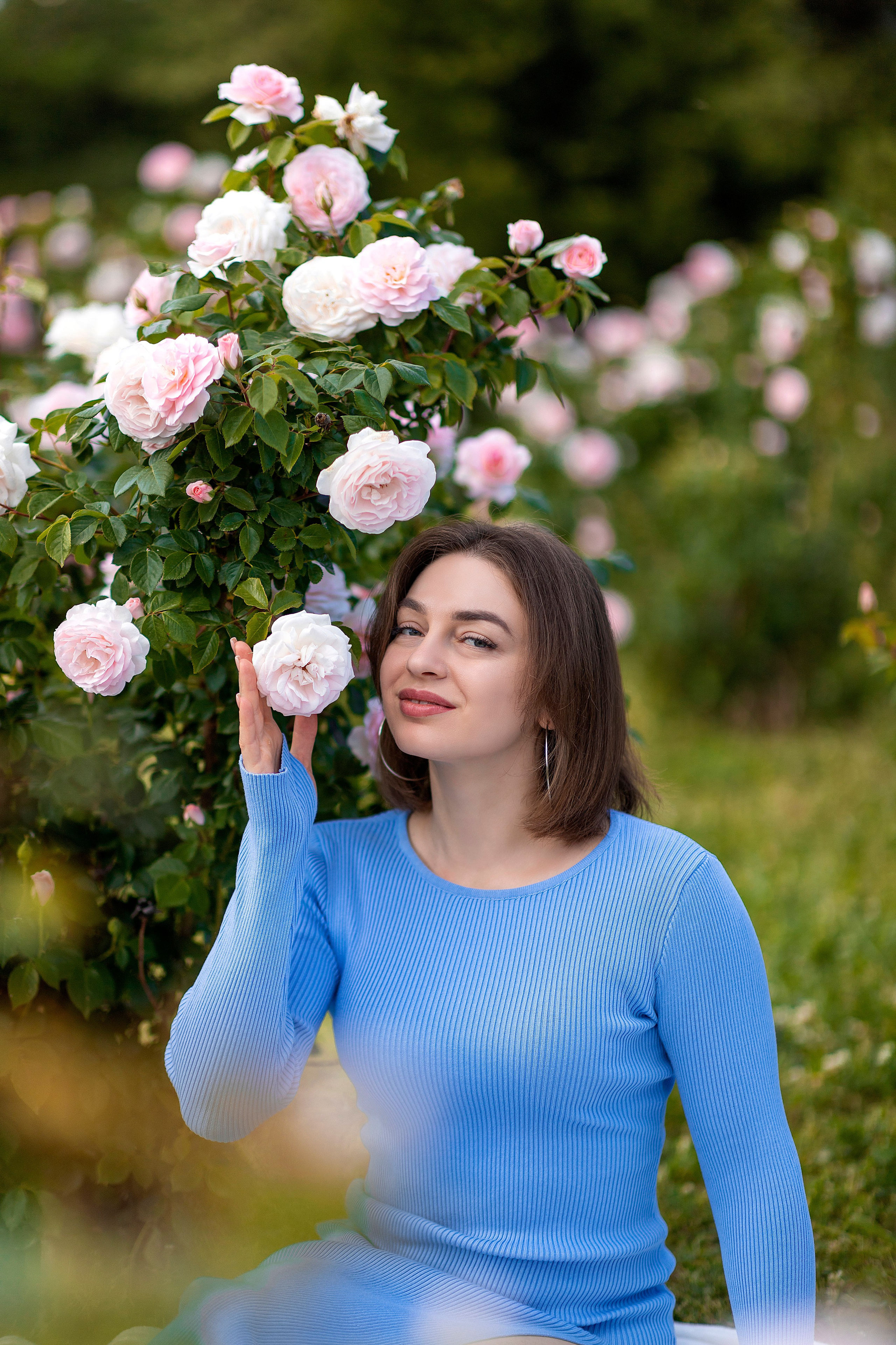 Сад роз. Настасья Перова Фотограф