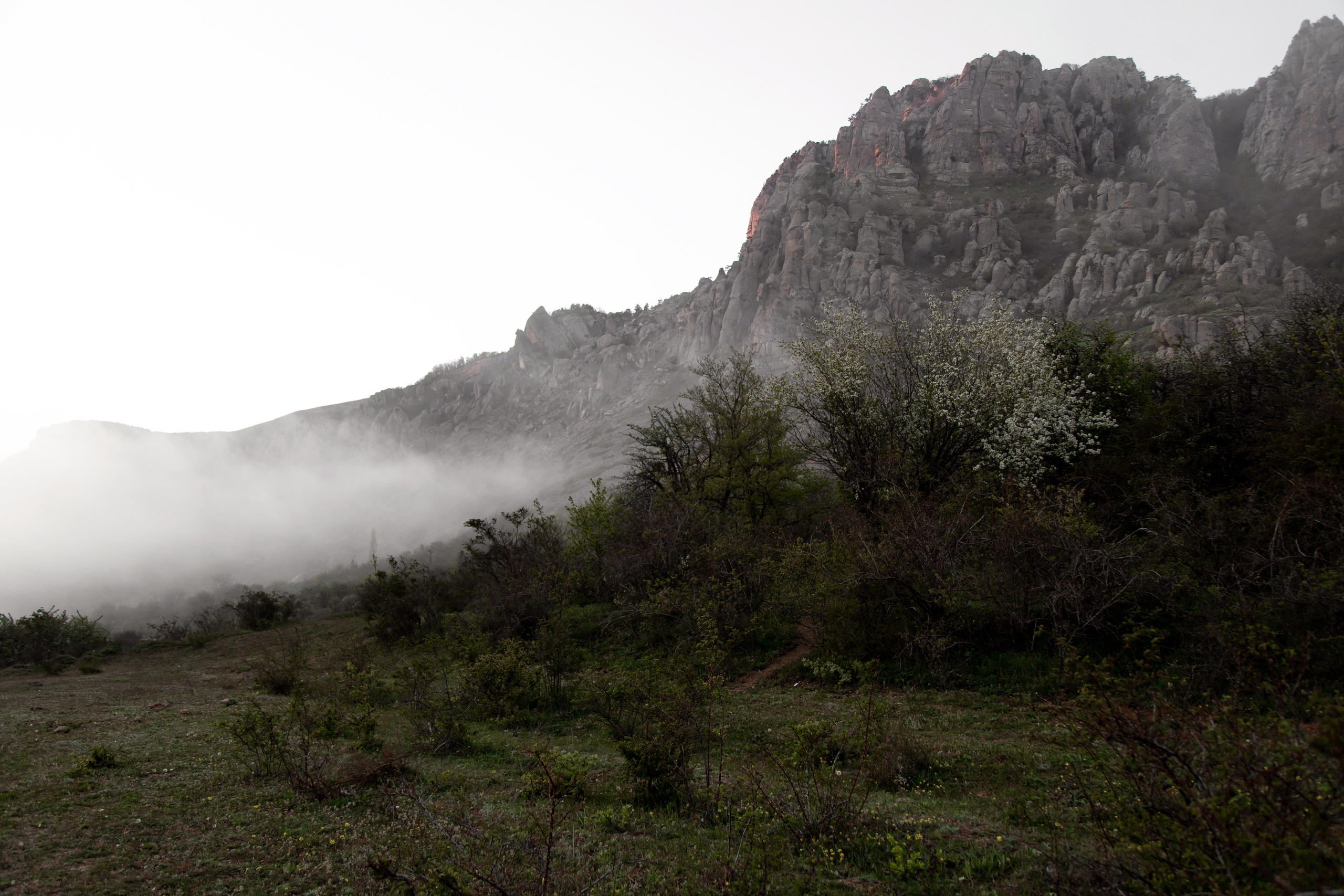 Ростислав и Валерия. Свадебный и семейный фотограф в Севастополе и Крыму Анастасия Сураева