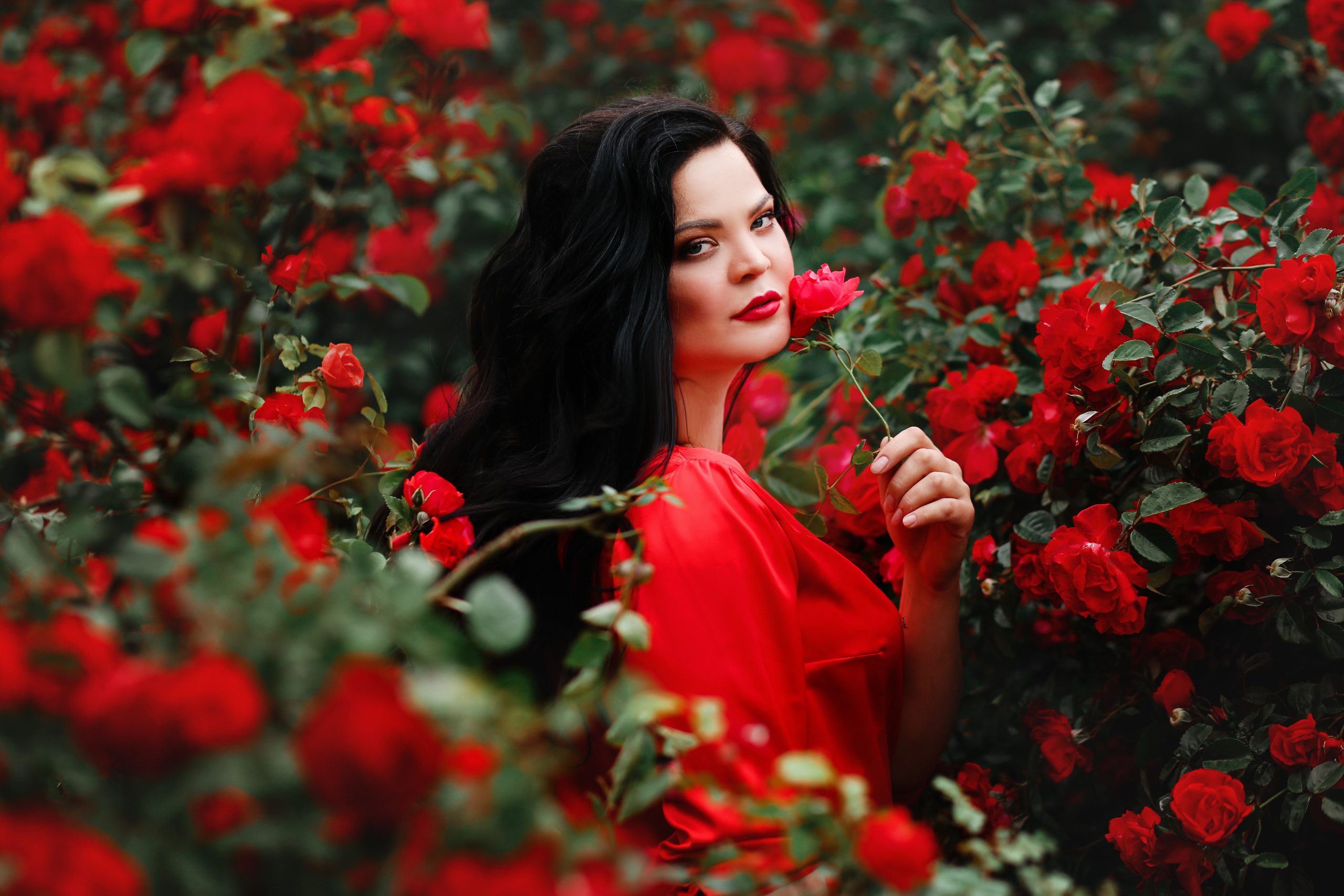 Ксюша розы. Свадебный и семейный фотограф в Севастополе и Крыму Анастасия Сураева