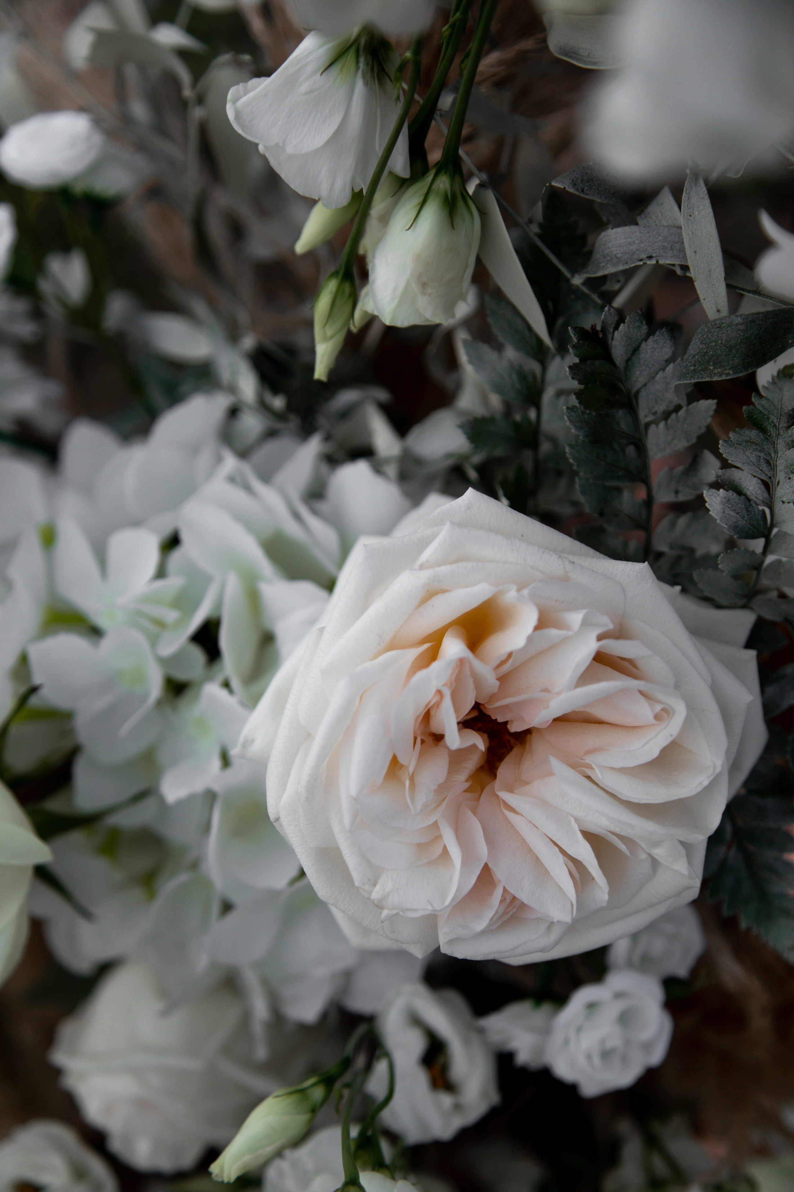 Ростислав и Валерия. Свадебный и семейный фотограф в Севастополе и Крыму Анастасия Сураева