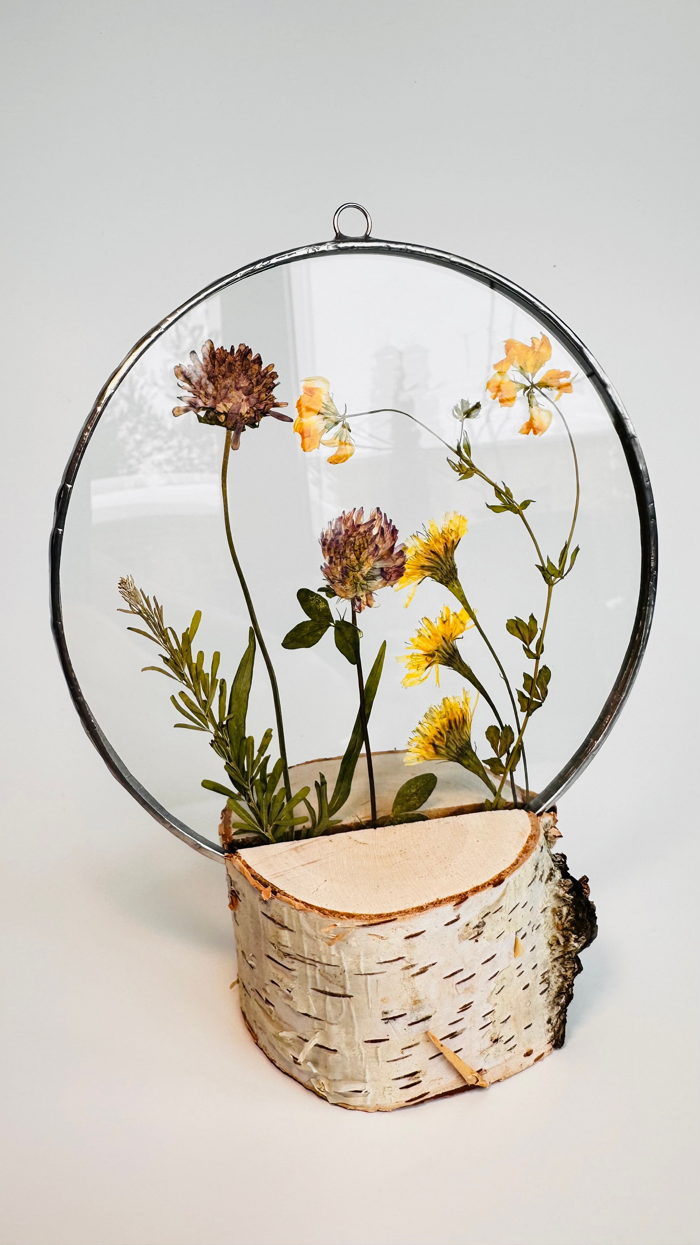 Гербарий в стекле с сухоцветами (витраж в технике тиффани). Гербарий в стекле, интерьерные панно, витражи с сухоцветами в технике тиффани