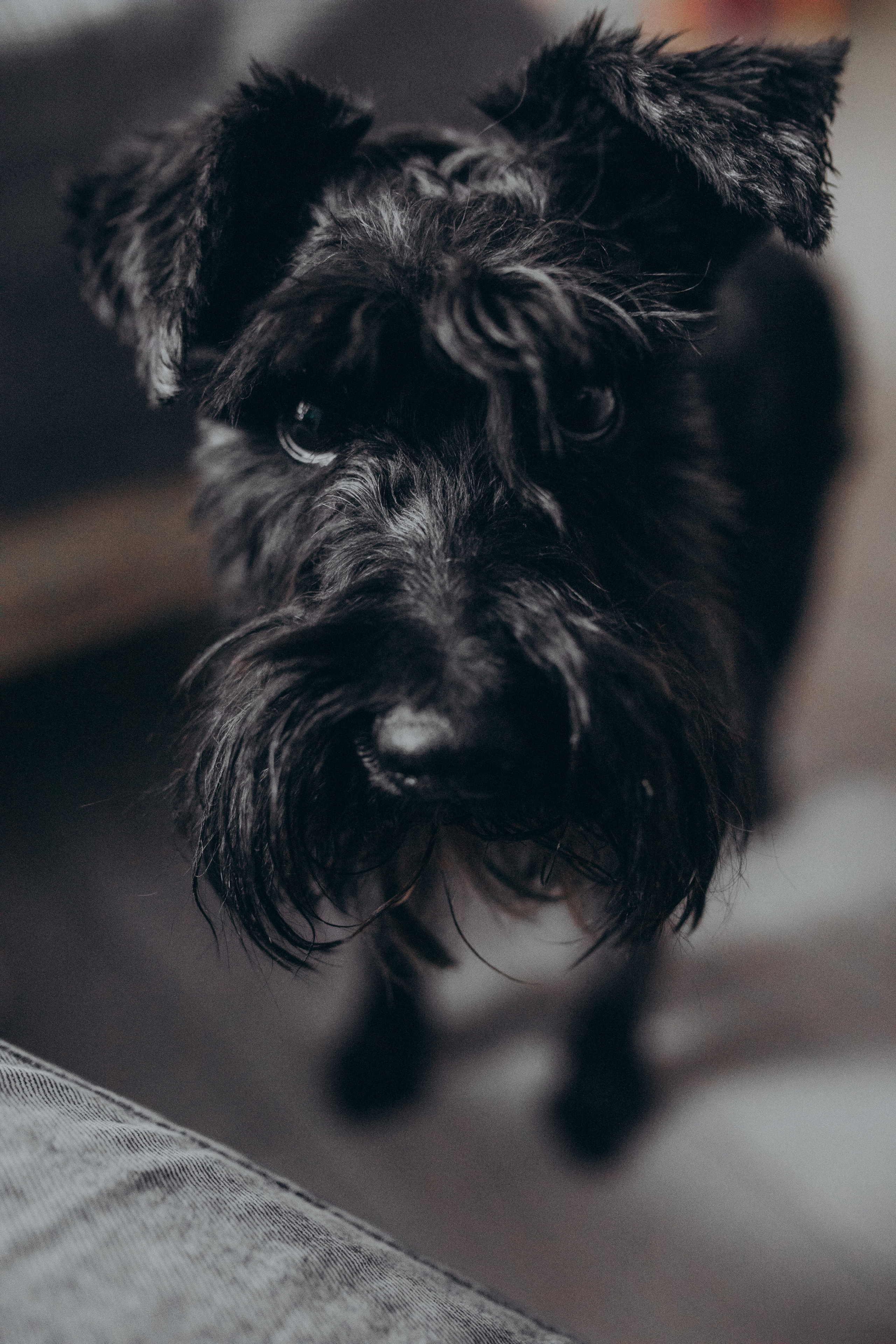 Домашняя съемка в канун Рождества. Фотограф новорожденных, детей и беременности г. Волгодонск Дарья Илькова