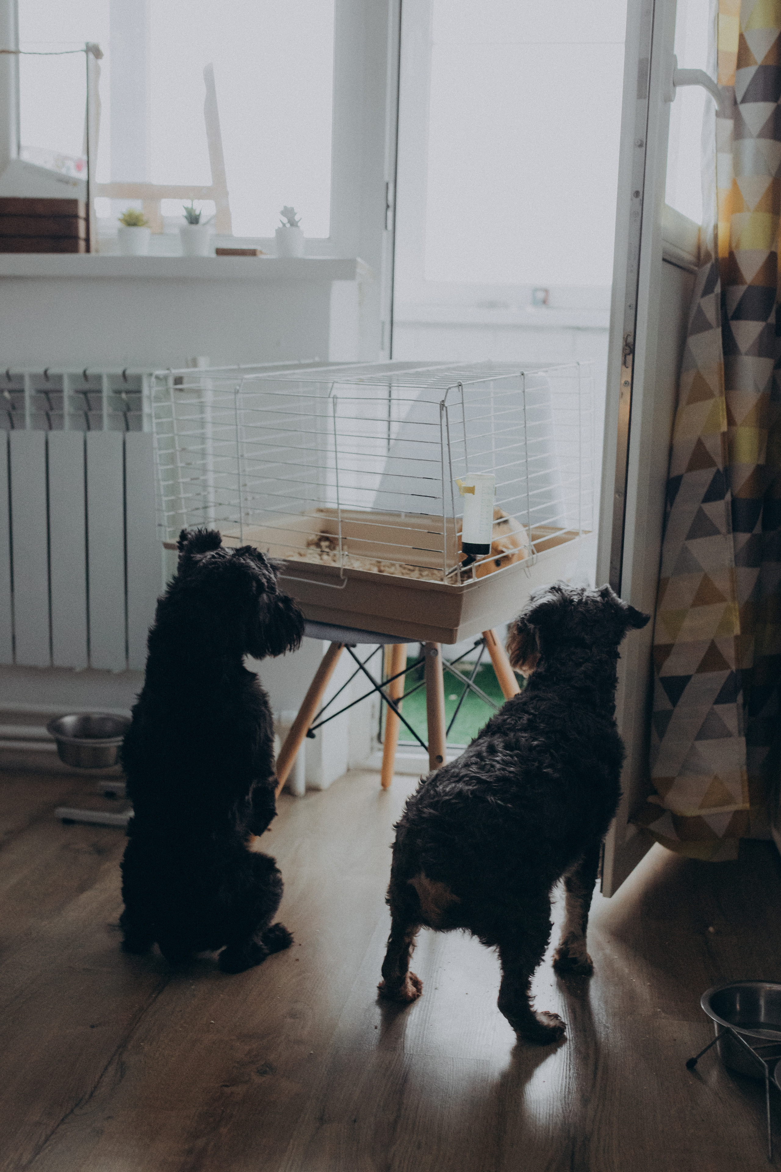 Домашняя съемка в канун Рождества. Фотограф новорожденных, детей и беременности г. Волгодонск Дарья Илькова