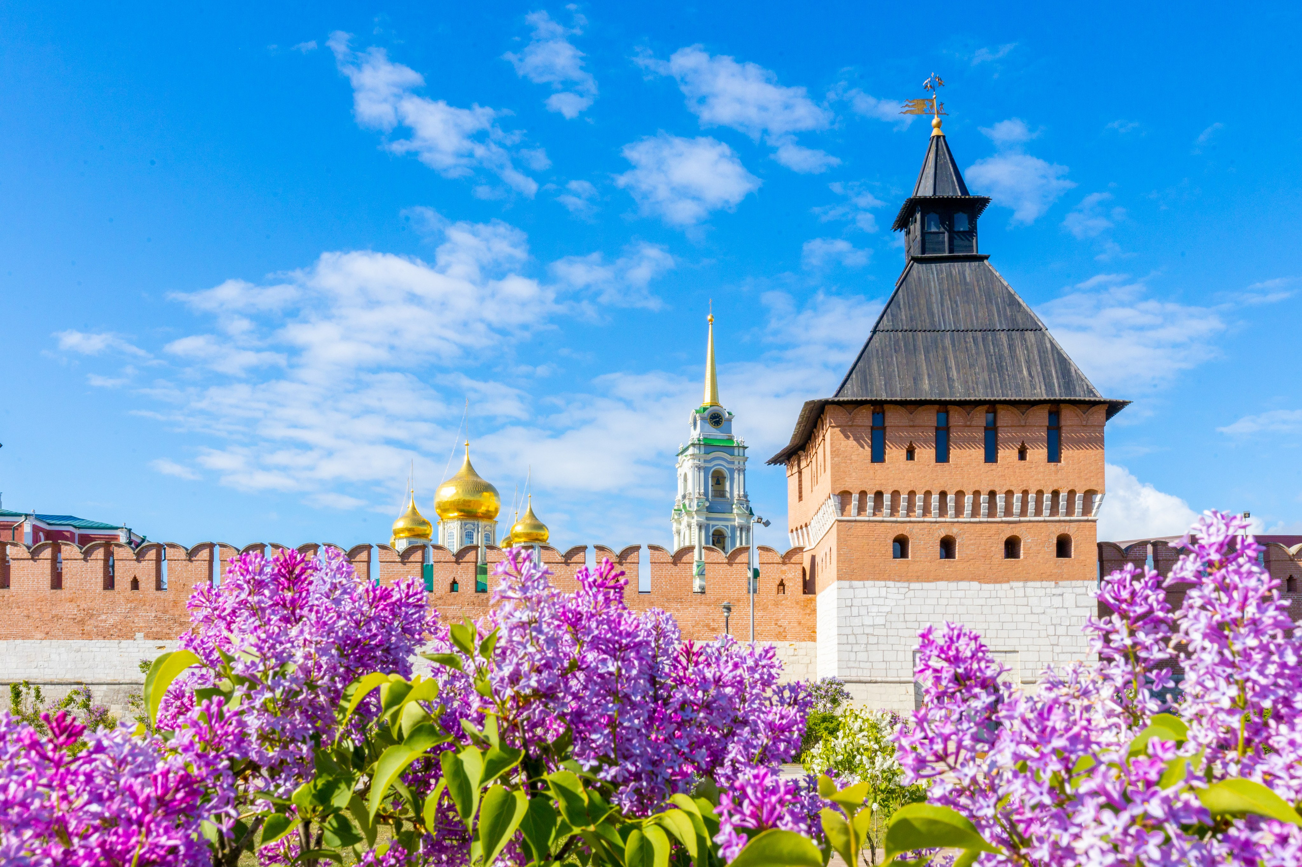 Весеннее цветение в Туле. Фотограф в Туле Крупский АнДРей. Фотостудия «КАДР71» в Туле