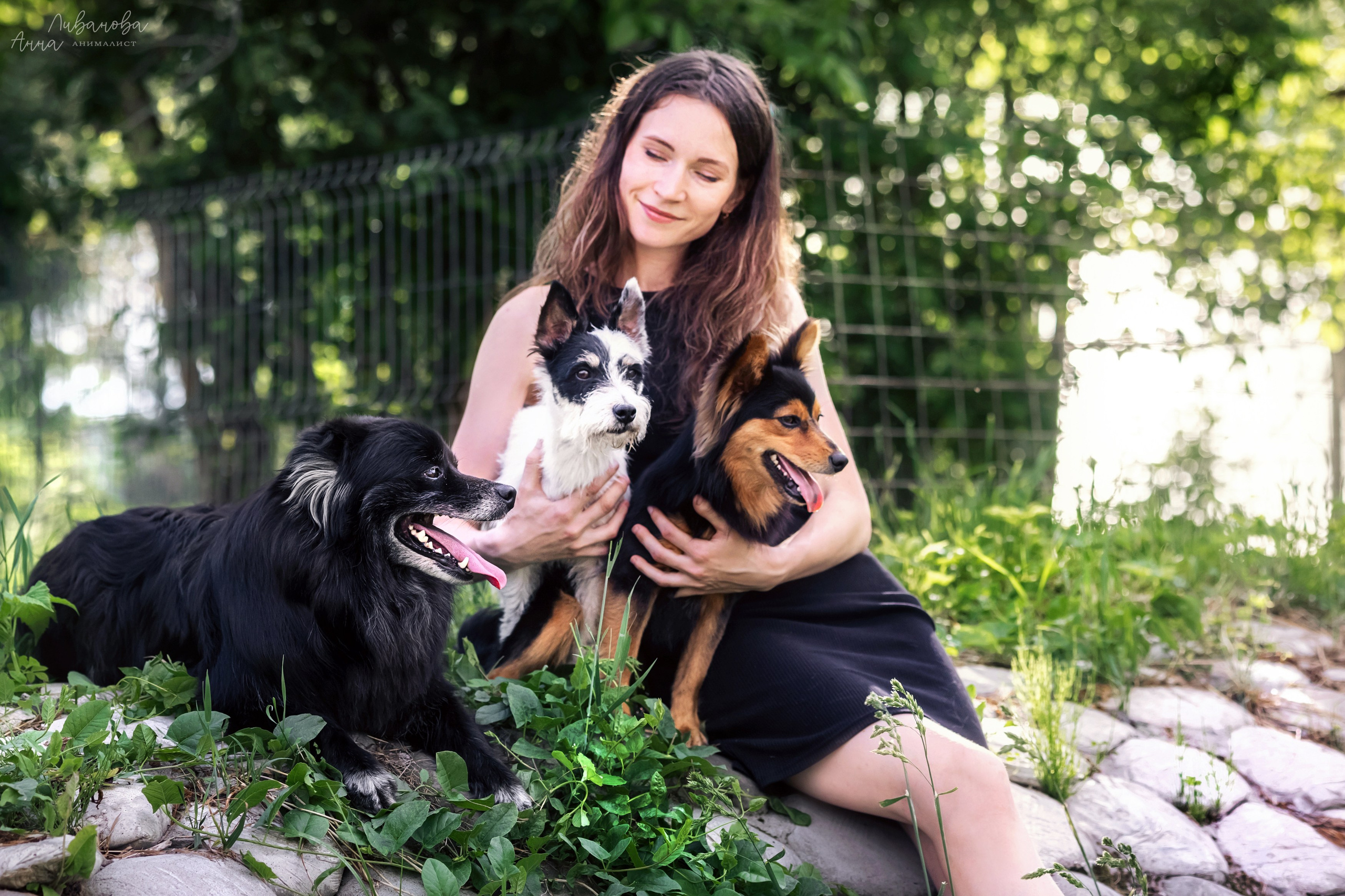 Рита и Ко. Фотограф анималист Аня Ливанова | Рыбинск