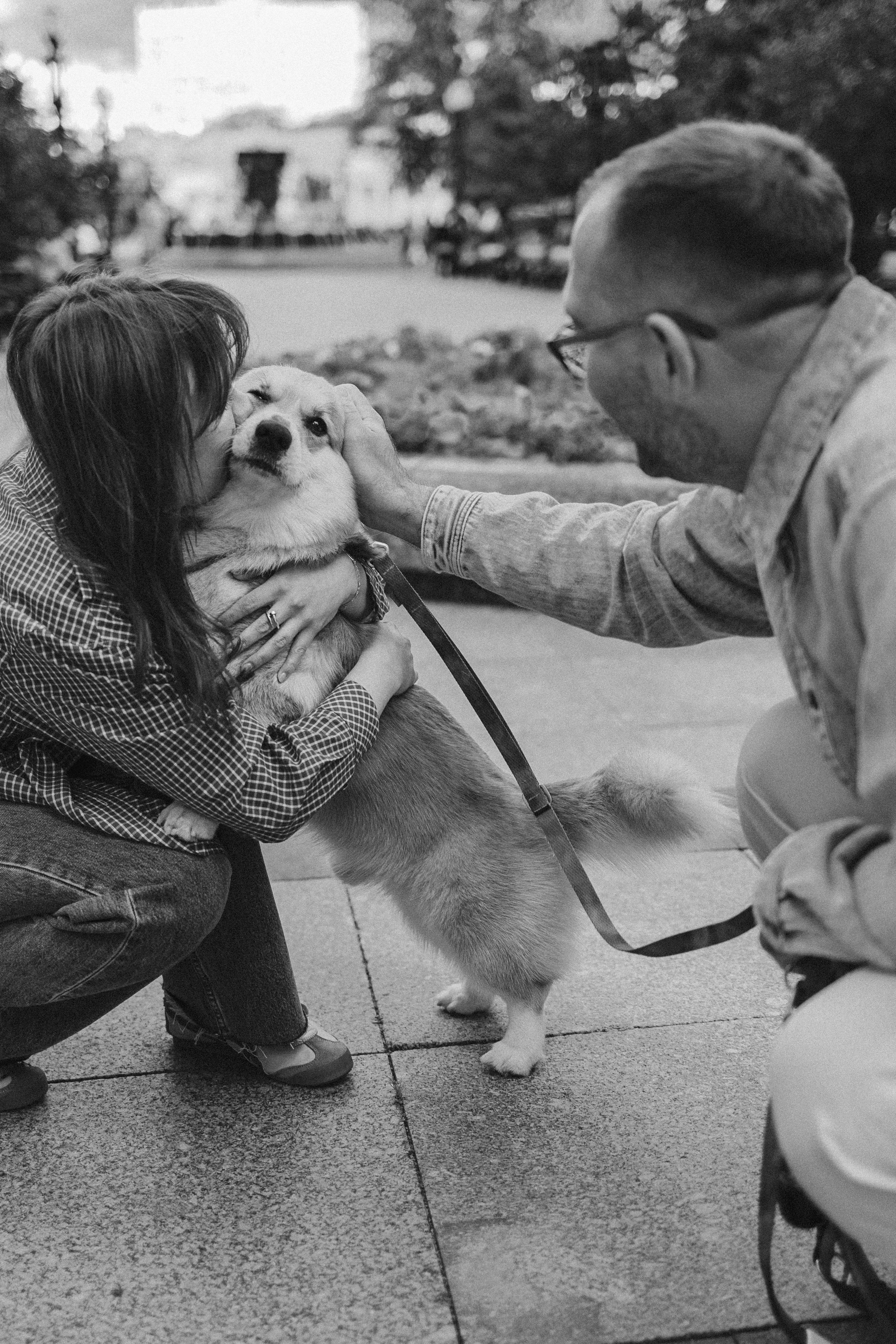 Момо, Люда и Эд. Фотограф анималист Анастасия Пикей