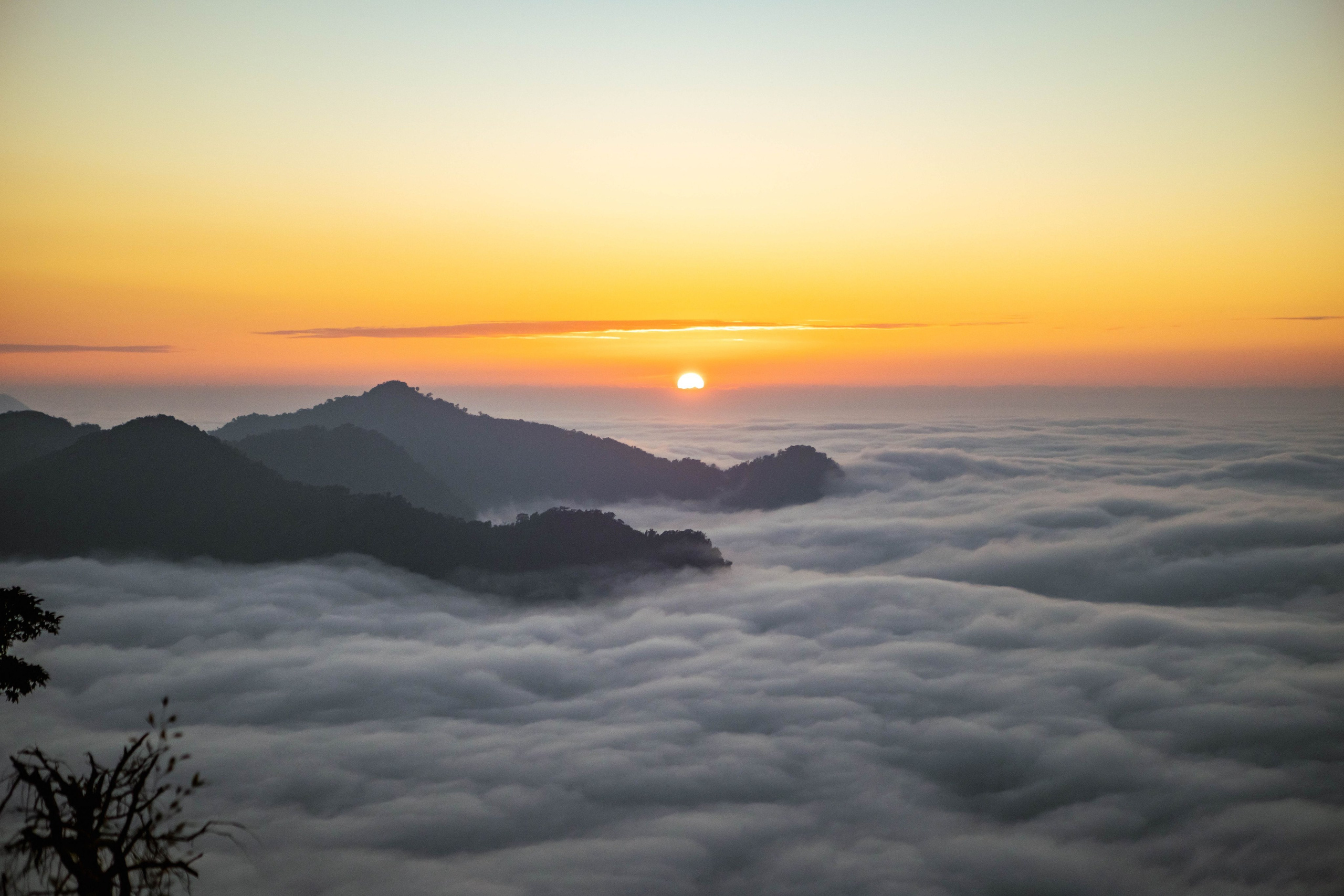 Тайвань. Фотография, ретушь, сканирование, восстановление старых фото, интерьерная съёмка, студия. Данилов Александр, Москва