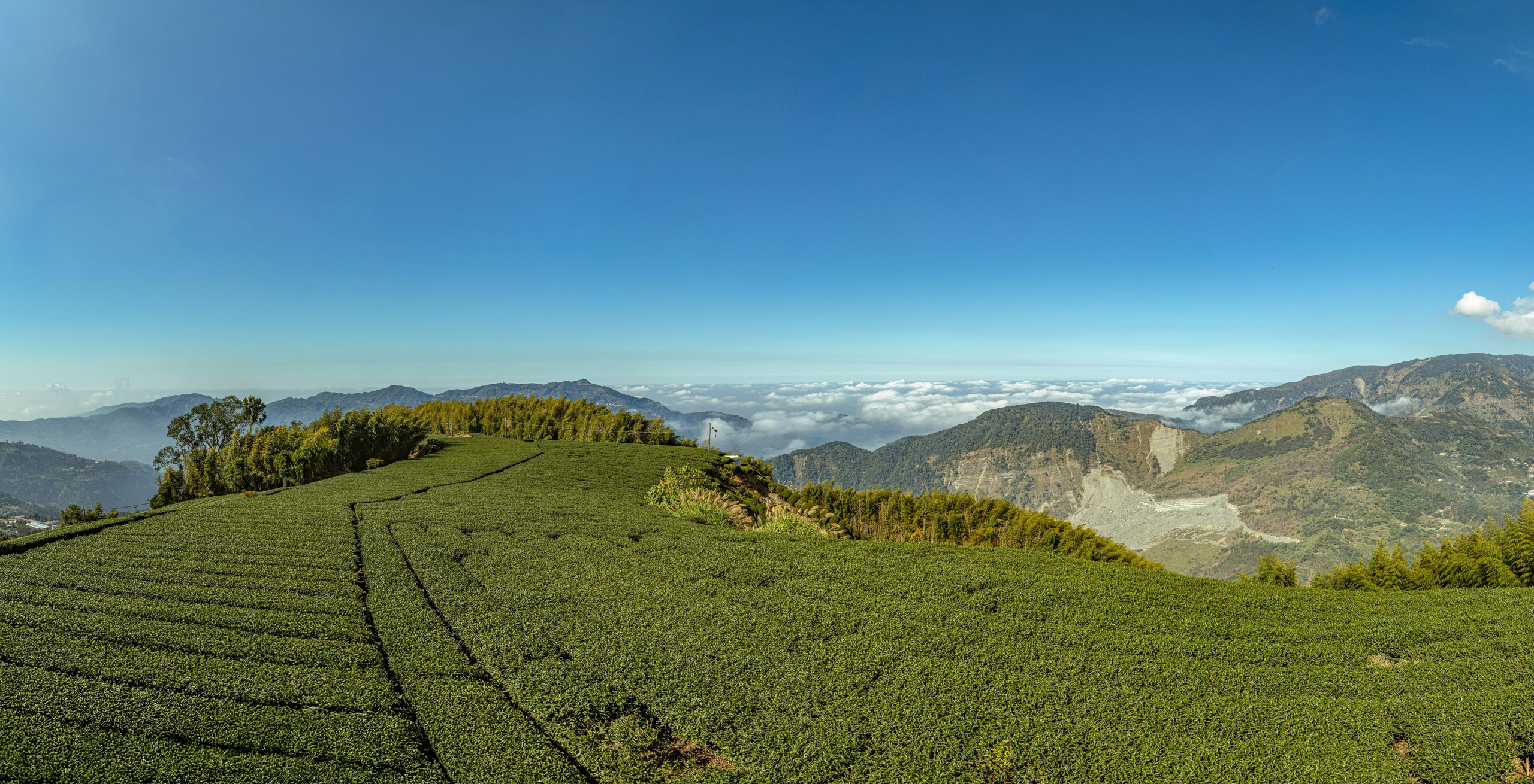 Тайвань. Фотография, ретушь, сканирование, восстановление старых фото, интерьерная съёмка, студия. Данилов Александр, Москва