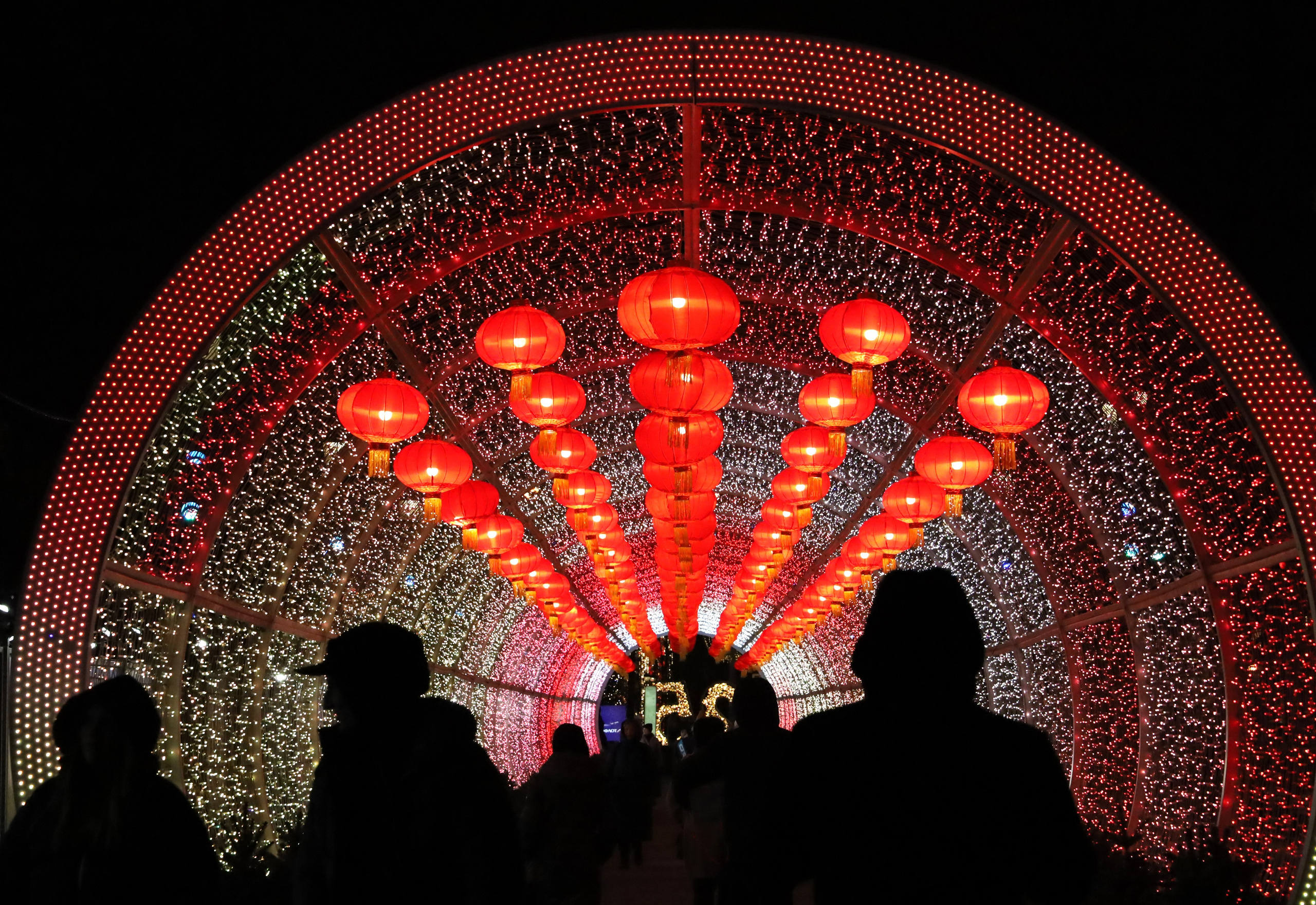 Фотограф в Москве Юлия Майорова