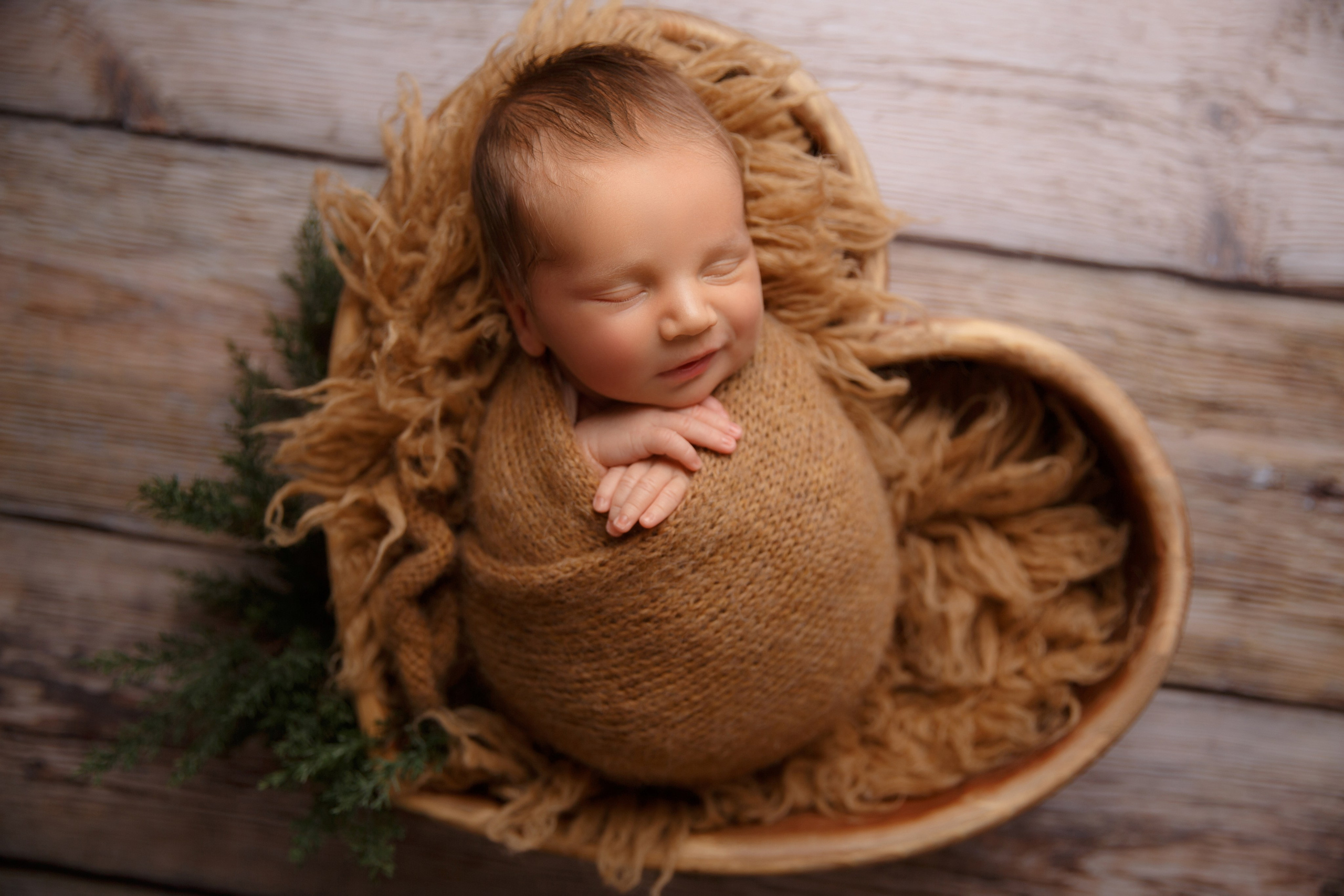 Chocolate. Фотограф новорожденных, семейный фотограф в Санкт-Петербурге