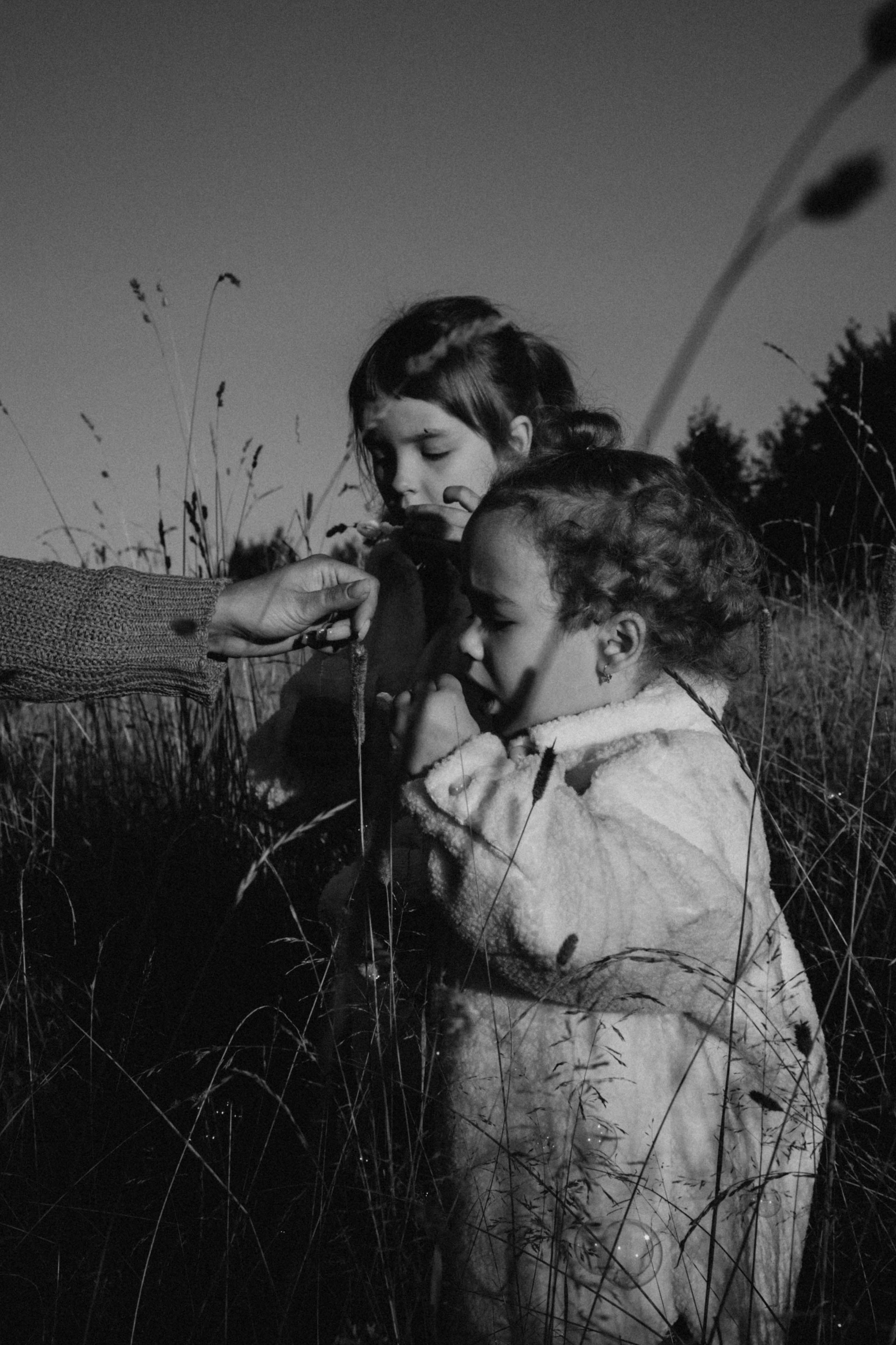 Семейная серия. Профессиональный фотограф, Санкт-Петербург — Виктория Богомолова