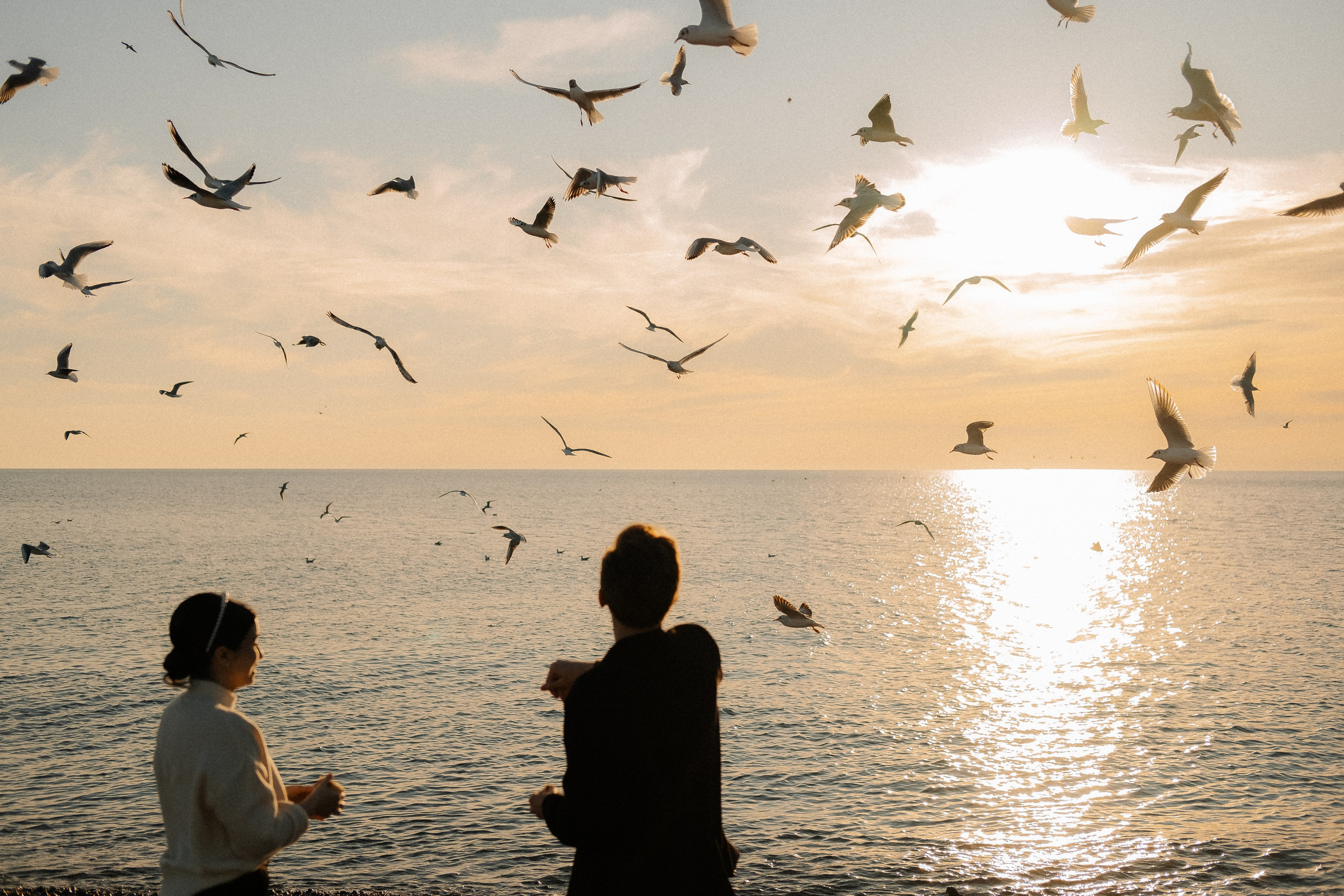 Фотосессии love story для двоих в Сочи, Сириусе и на Красной поляне. Семейный, свадебный фотограф Сочи, Адлер, Красная поляна