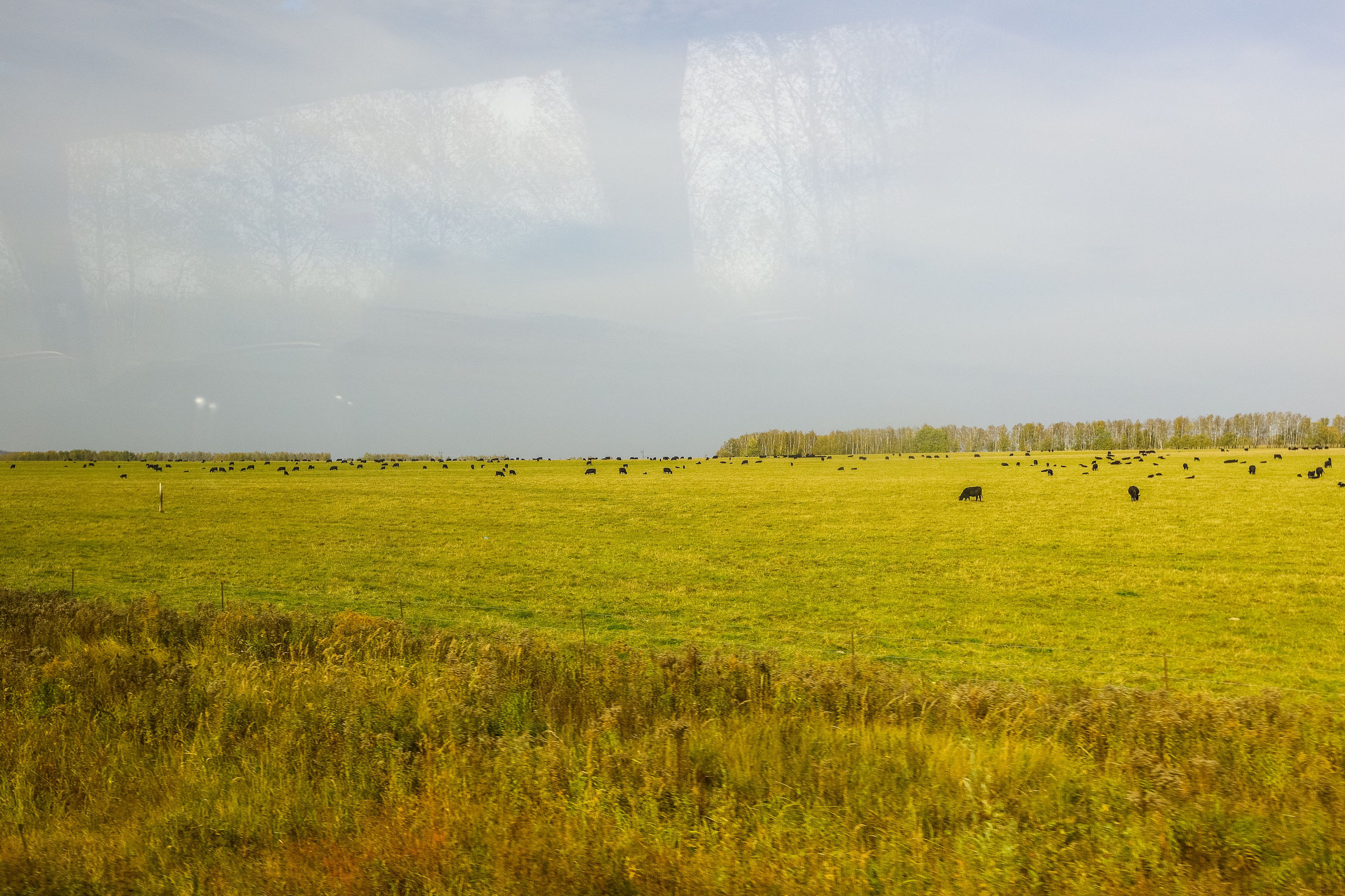 Поездка в Белев и на производство пастилы. Фотограф в Туле Крупский АнДРей. Фотостудия «КАДР71» в Туле