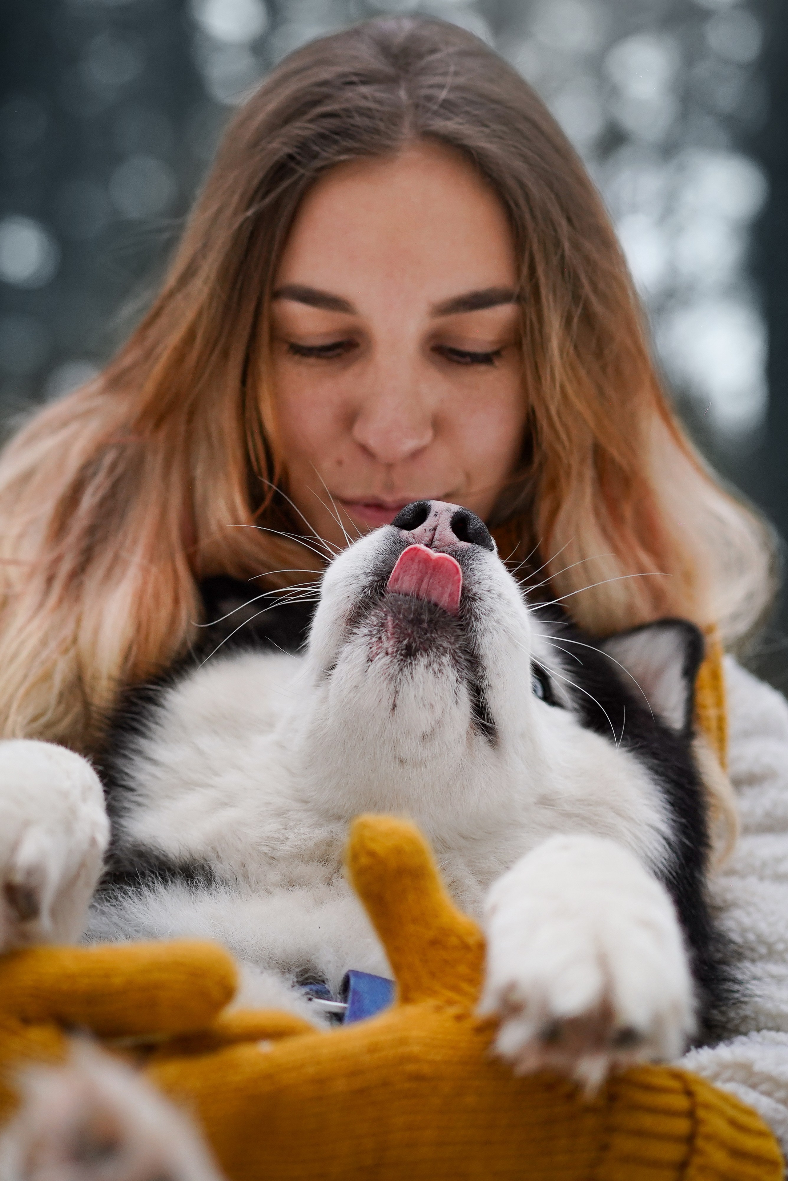 Лора Джанго и Хэппи. Фотограф-анималист в Санкт-Петербурге Яна Мартынова