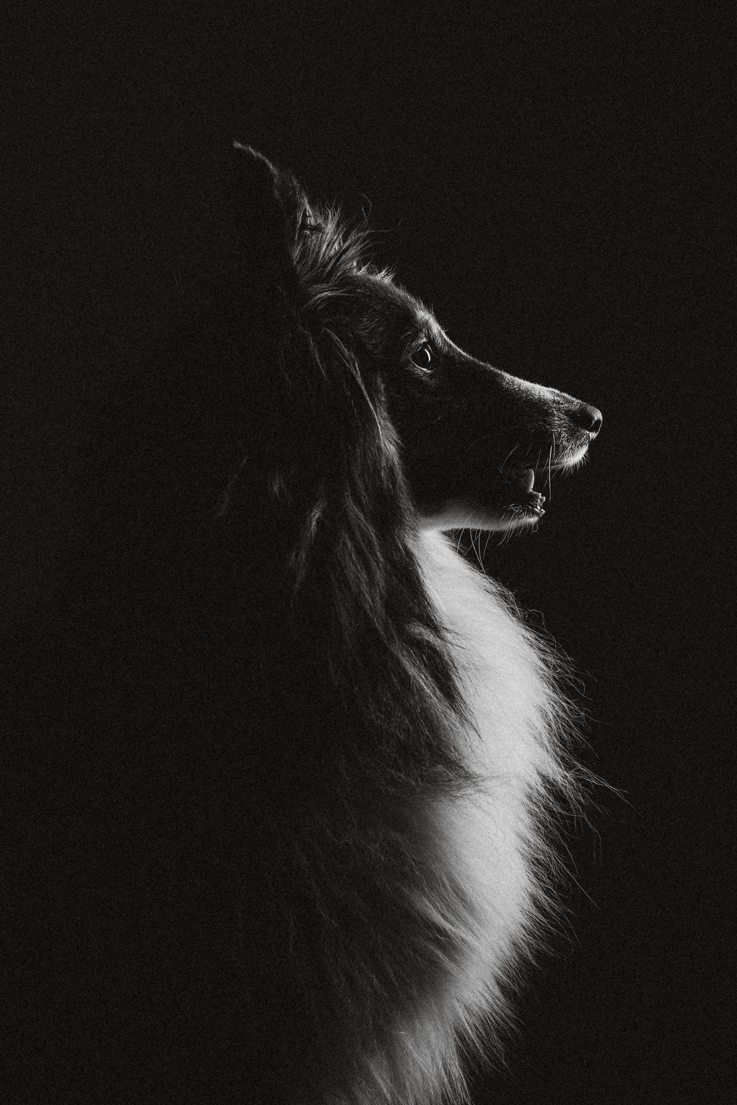 Воркшоп по импульсному свету